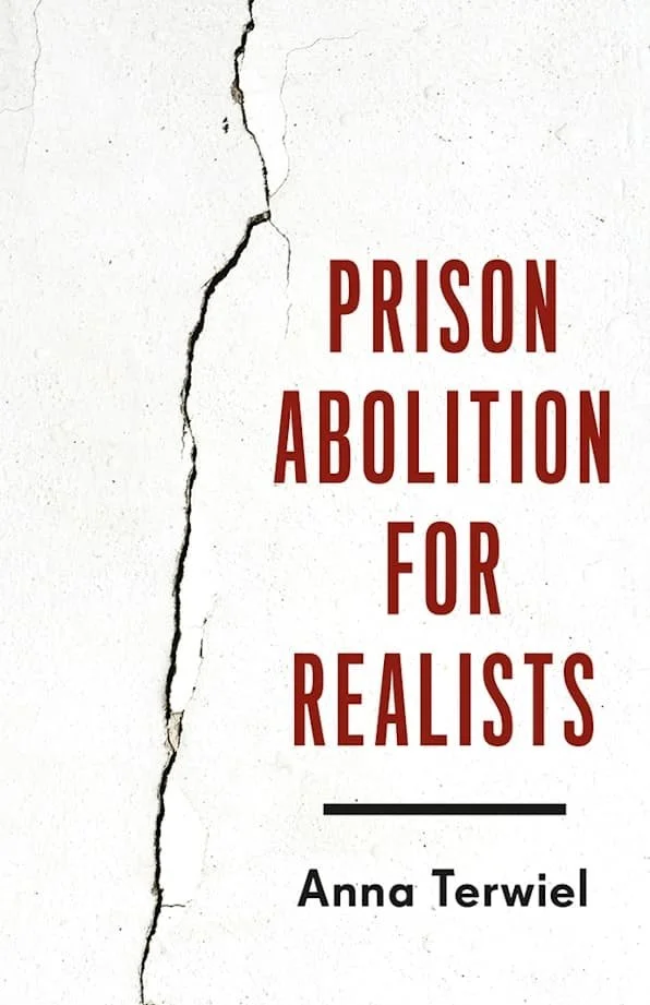 Book cover titled 'Prison Abolition for Realists' by Anna Terwiel, with a cracked white background.