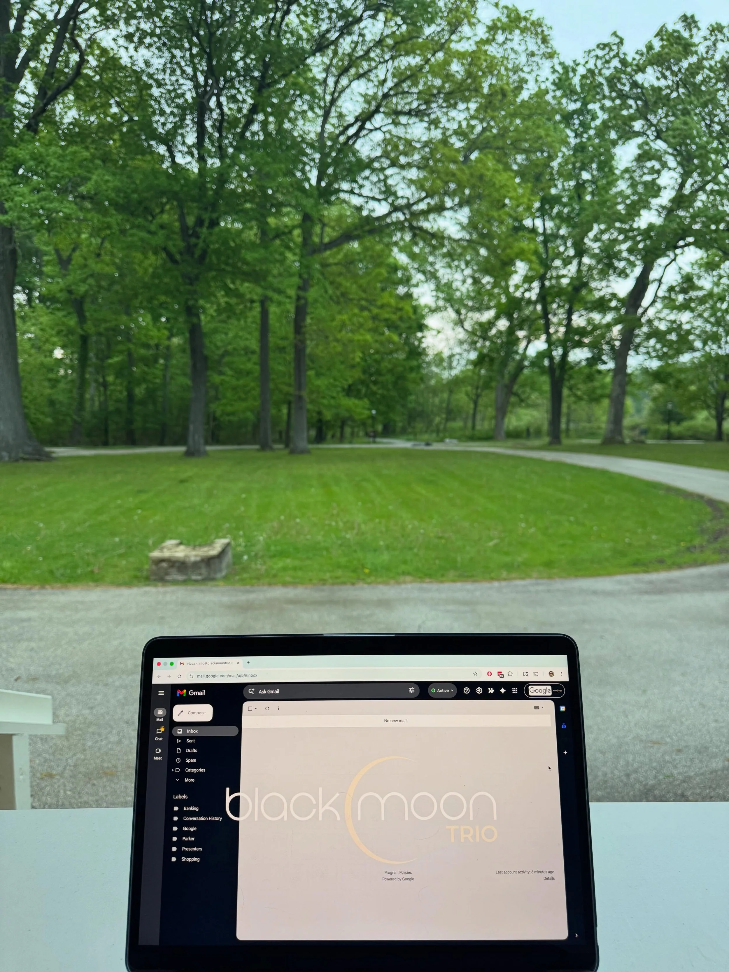 Office view today 🌲
Grant proposals, tall trees, and a little quiet inspiration. Grateful for a workspace where ideas can breathe @brushwoodcenter. Not pictured: the huge thunderstorm