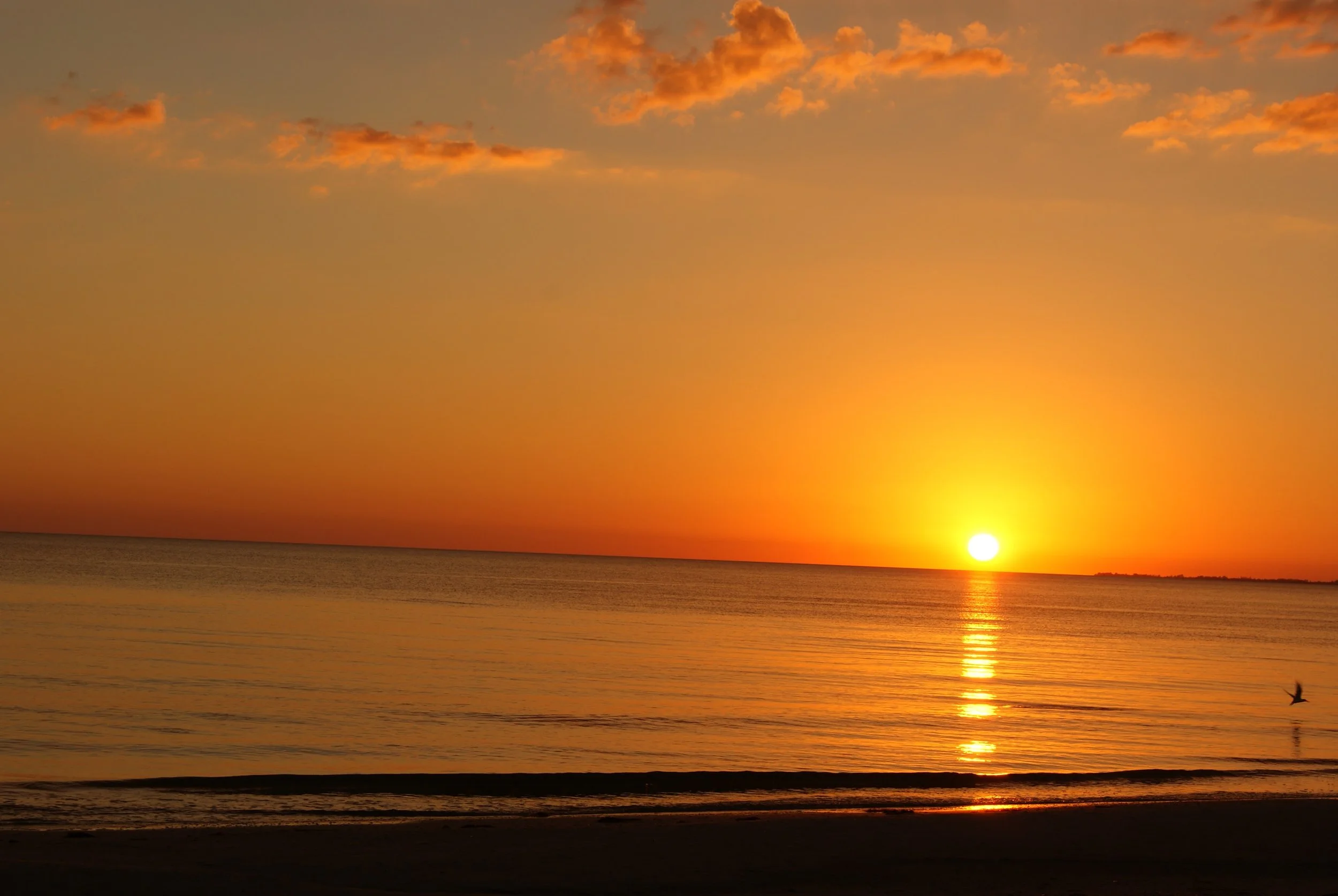 Jesus says you must be “born again” to enter the Kingdom of Heaven