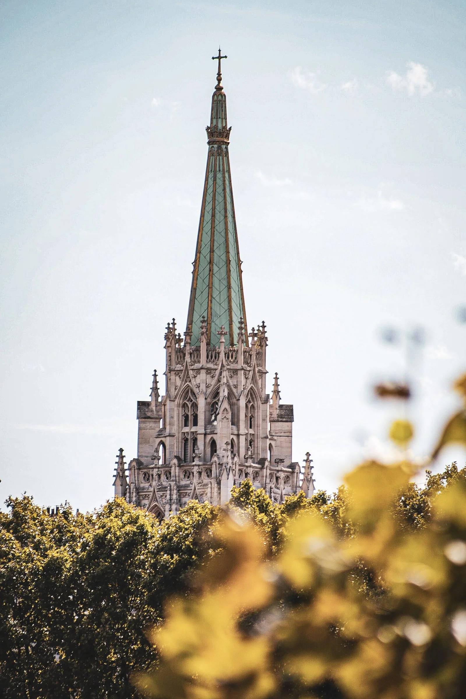 Aluminium Art Wall - Paris Basilic.jpg