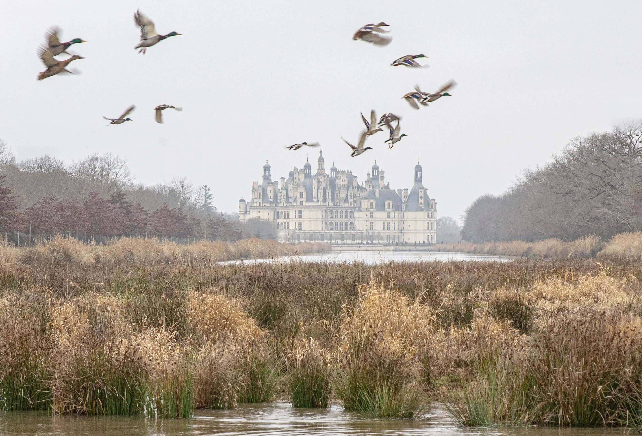 France - Chambord