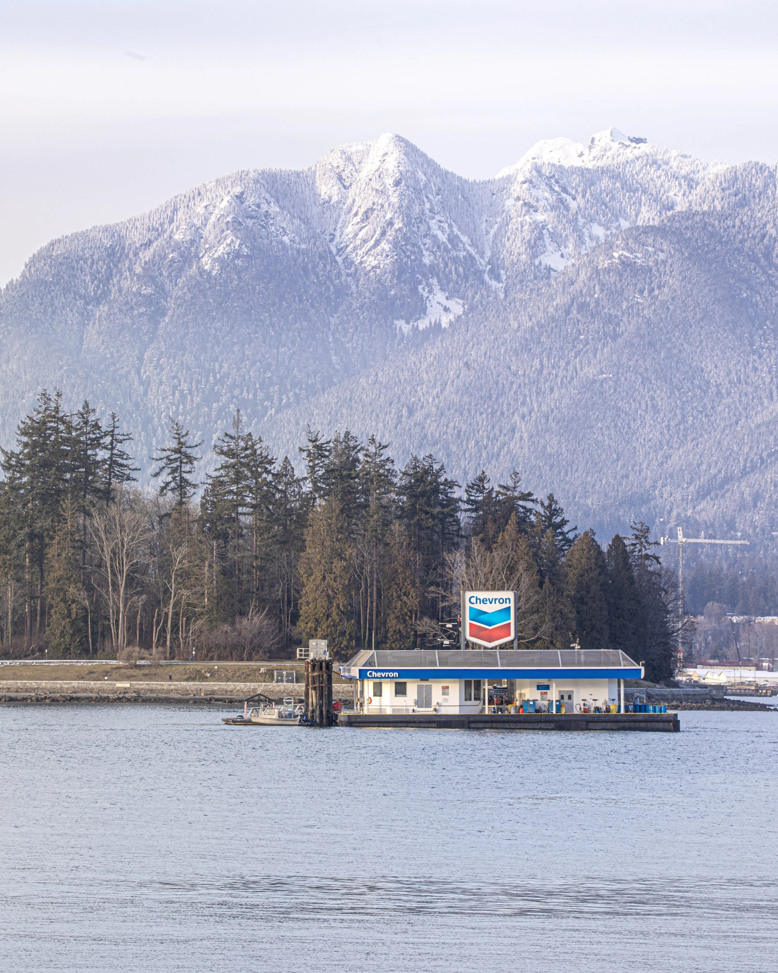 Picture - Vancouver Chevron Snow.jpg