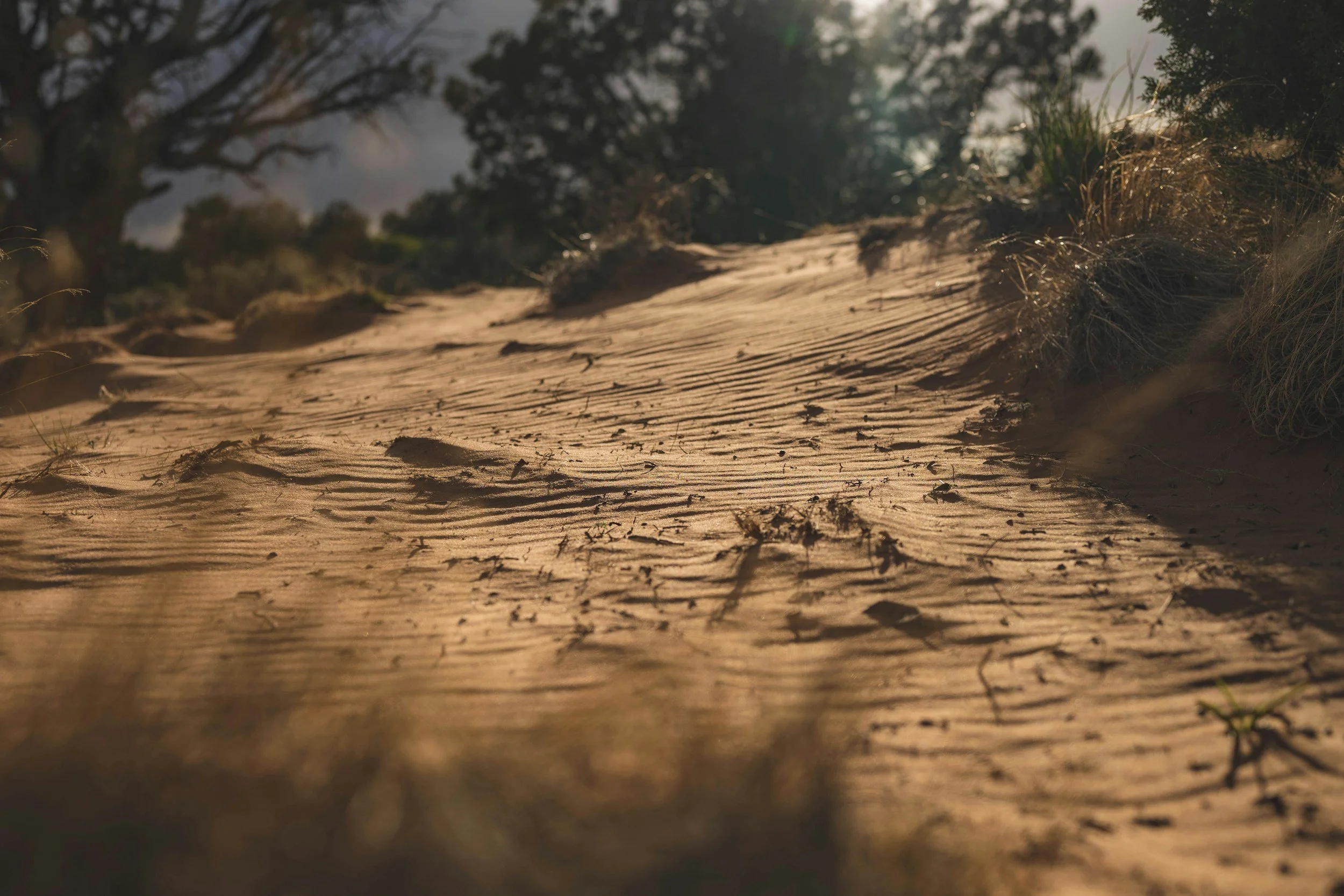 wind blown sand drifting, drift, solar, photovoltaic, PV, train, rail, highway