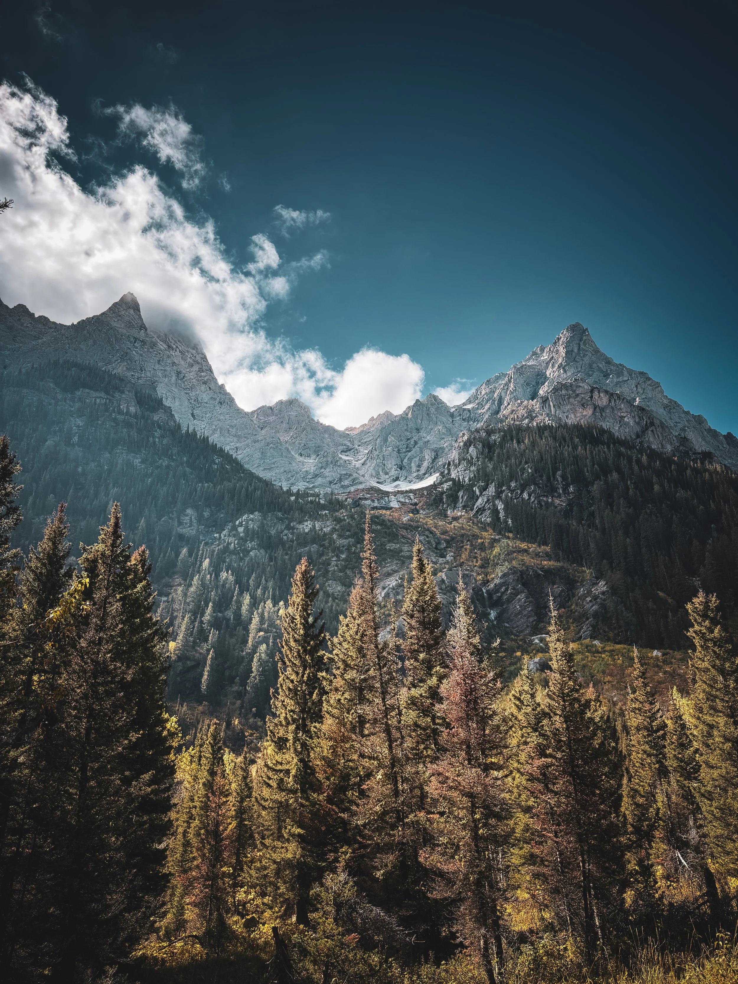 Teton_Lee-04.jpg