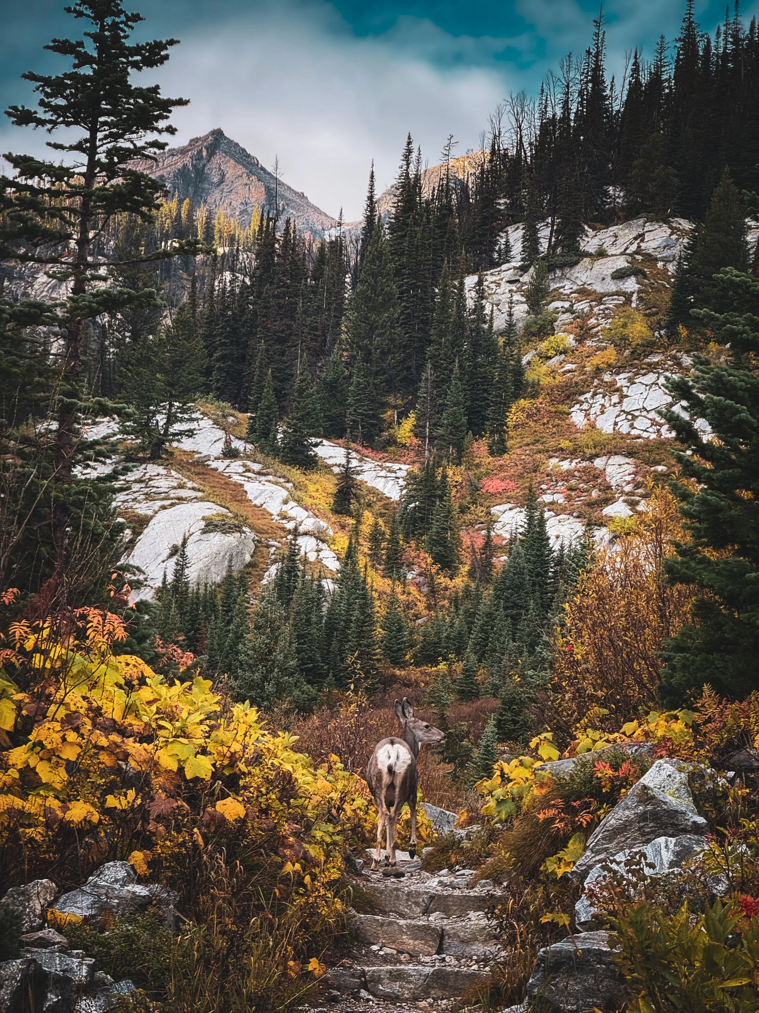 Teton_Lee-16.jpg