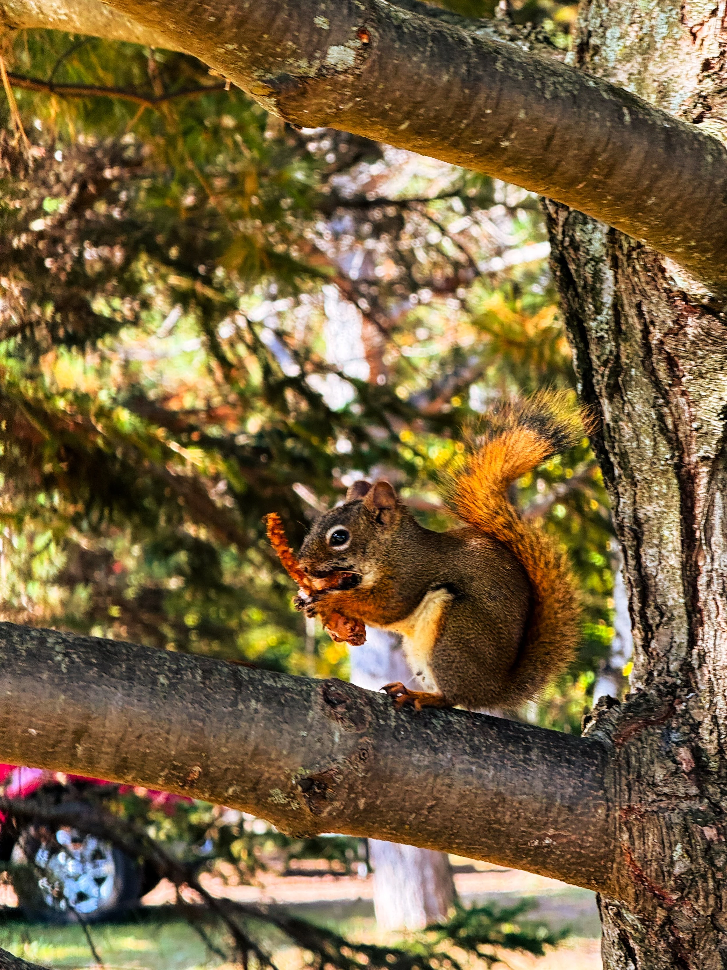 North Shore-07.jpg