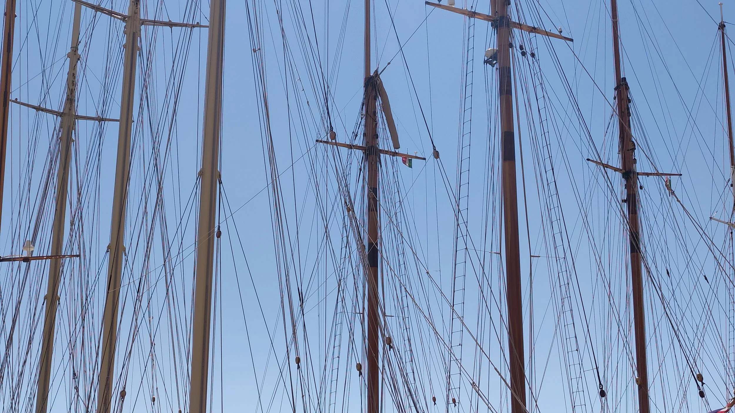 Mâts de voiliers à quai contre un ciel bleu.