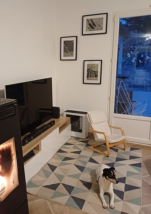Salon moderne avec un fauteuil en bois et tissu blanc, un chien allongé sur un tapis géométrique, un mur avec quatre cadres d'art, une grande fenêtre donnant sur une terrasse extérieure.