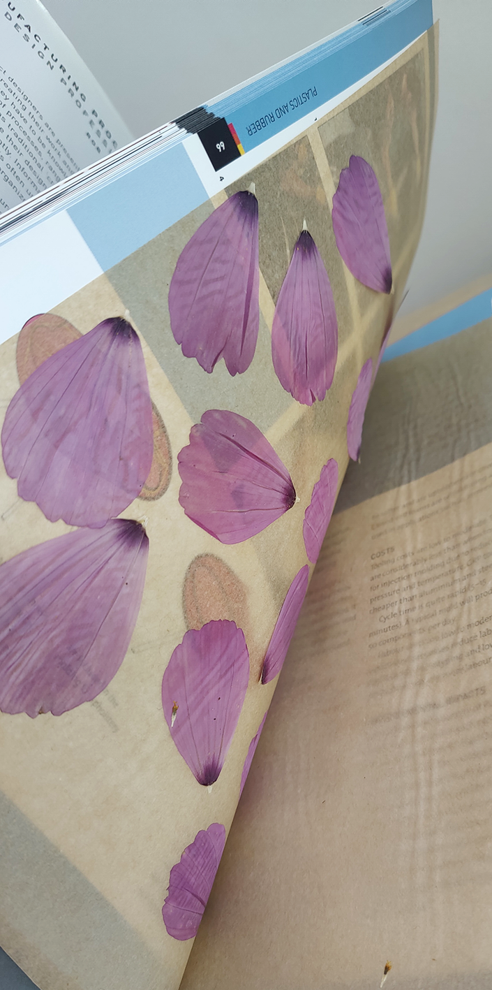 Page d'un livre ou document avec des illustrations de papillons violets.