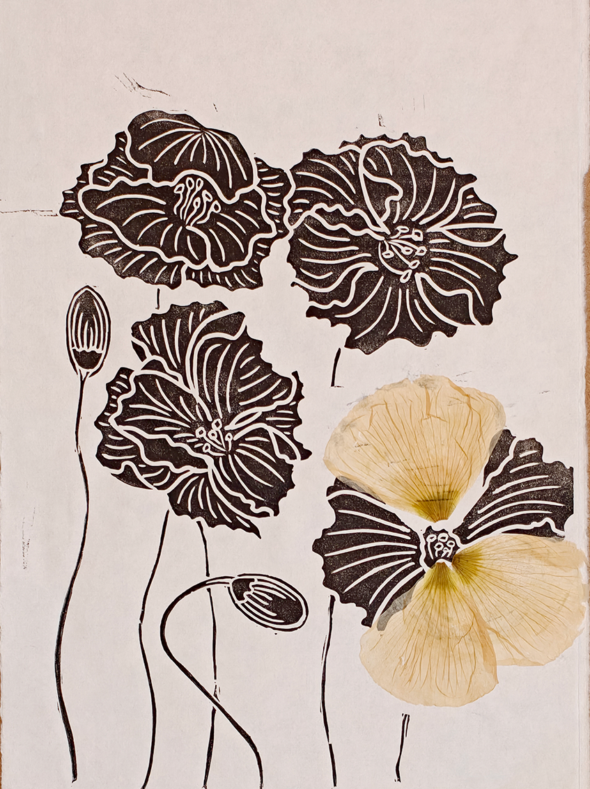 coquelicot fleurs sechees.png