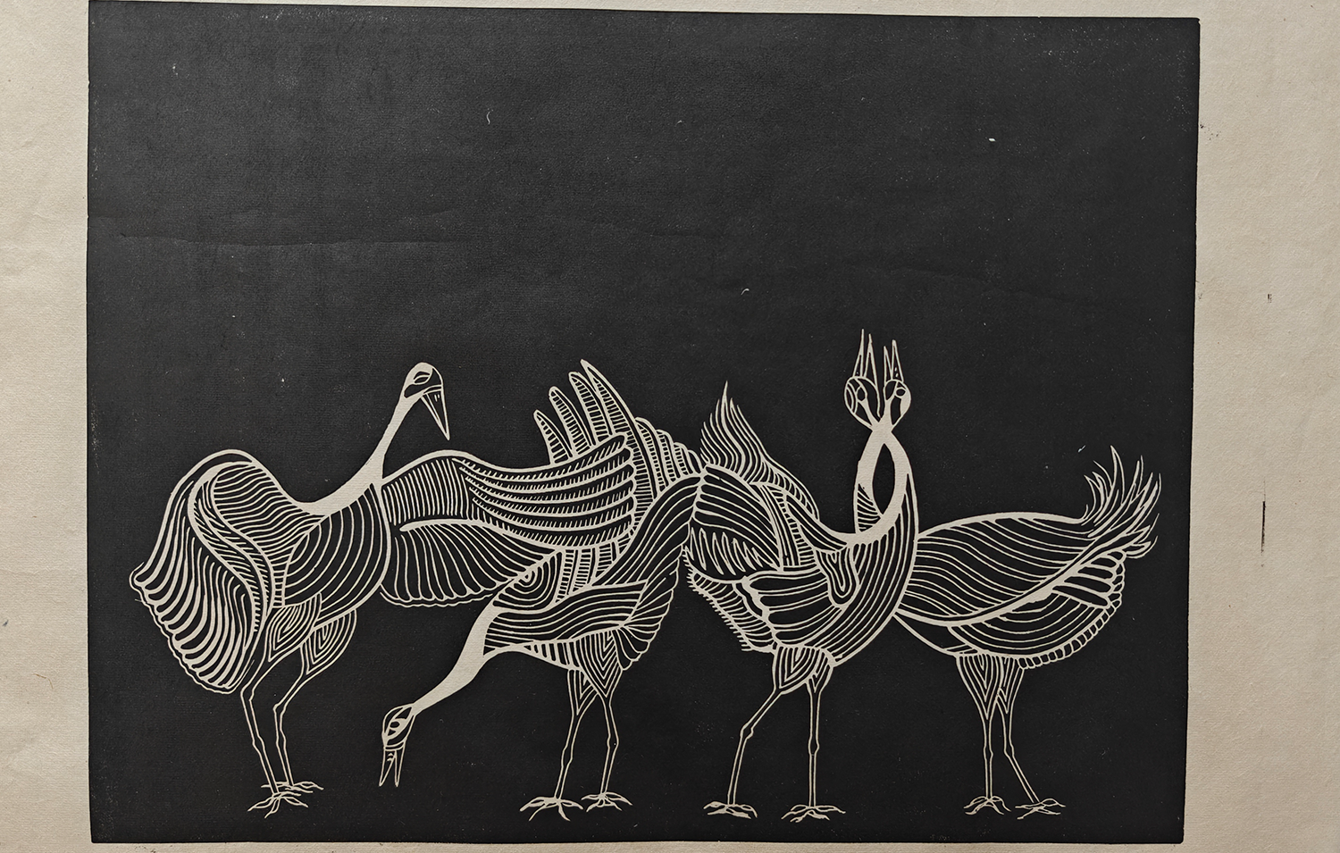 La danse nuptiale des grues Japonaises