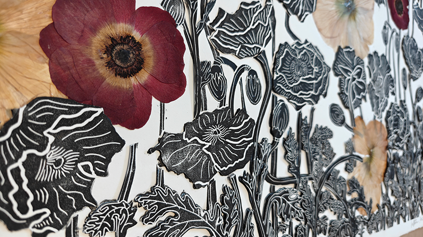 coquelicot fleurs sechees4.png