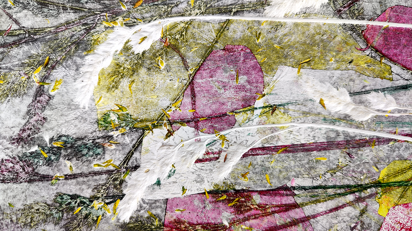 Feuilles et branches écrasées sous une couche de plastique ou de papier, avec des petits insectes jaunes sur la surface, créant un effet de texture artistique.