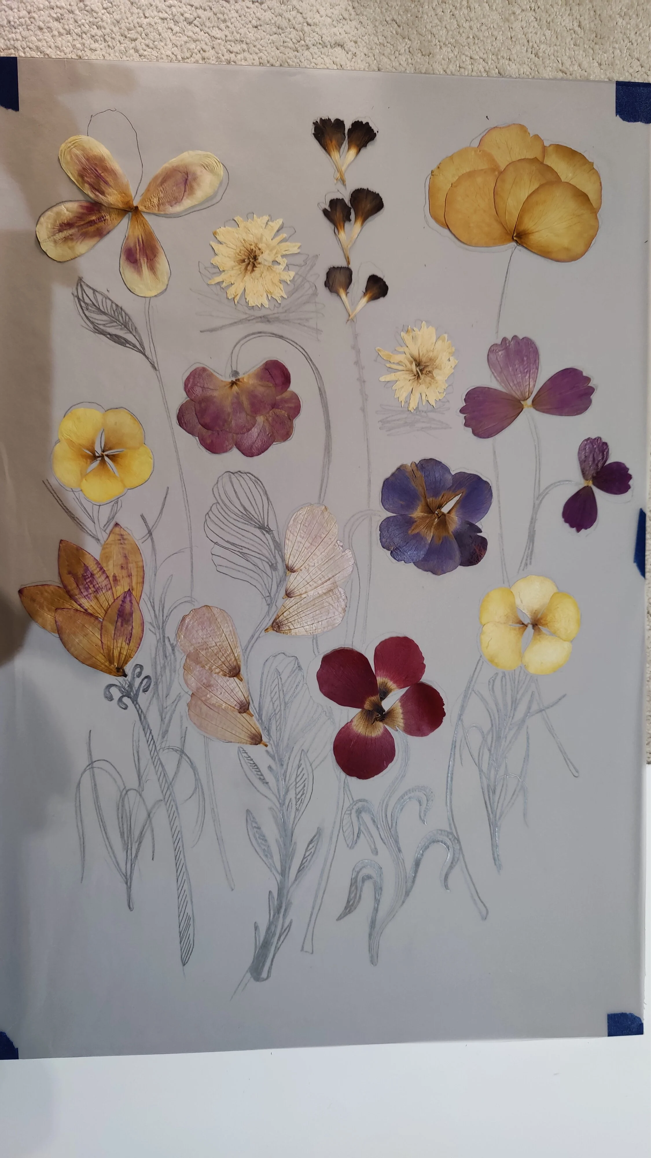 Une feuille avec des fleurs et des feuilles séchées collées dessus, avec des dessins de fleurs et de feuilles en papier graphite.