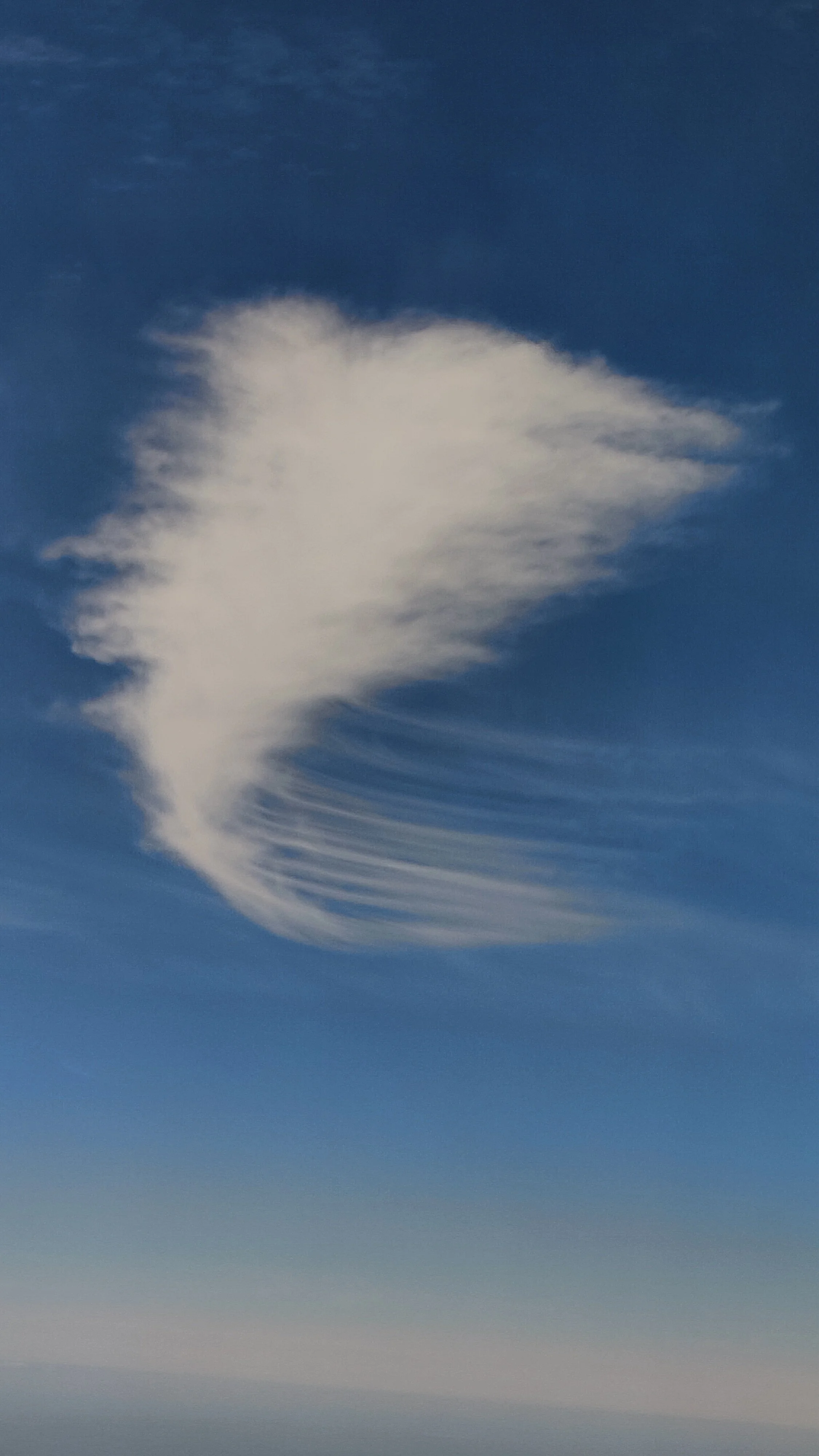 Nuages en forme de poisson dans le ciel bleu.