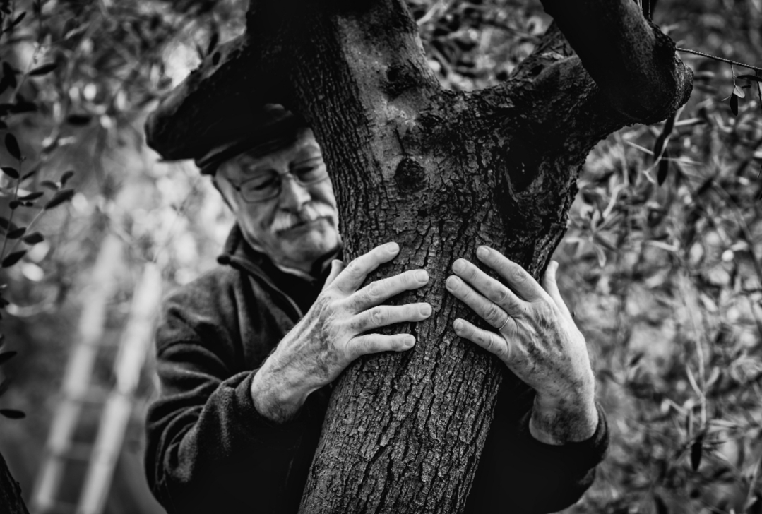 Un homme âgé avec des lunettes et une casquette qui serre un arbre avec ses mains.