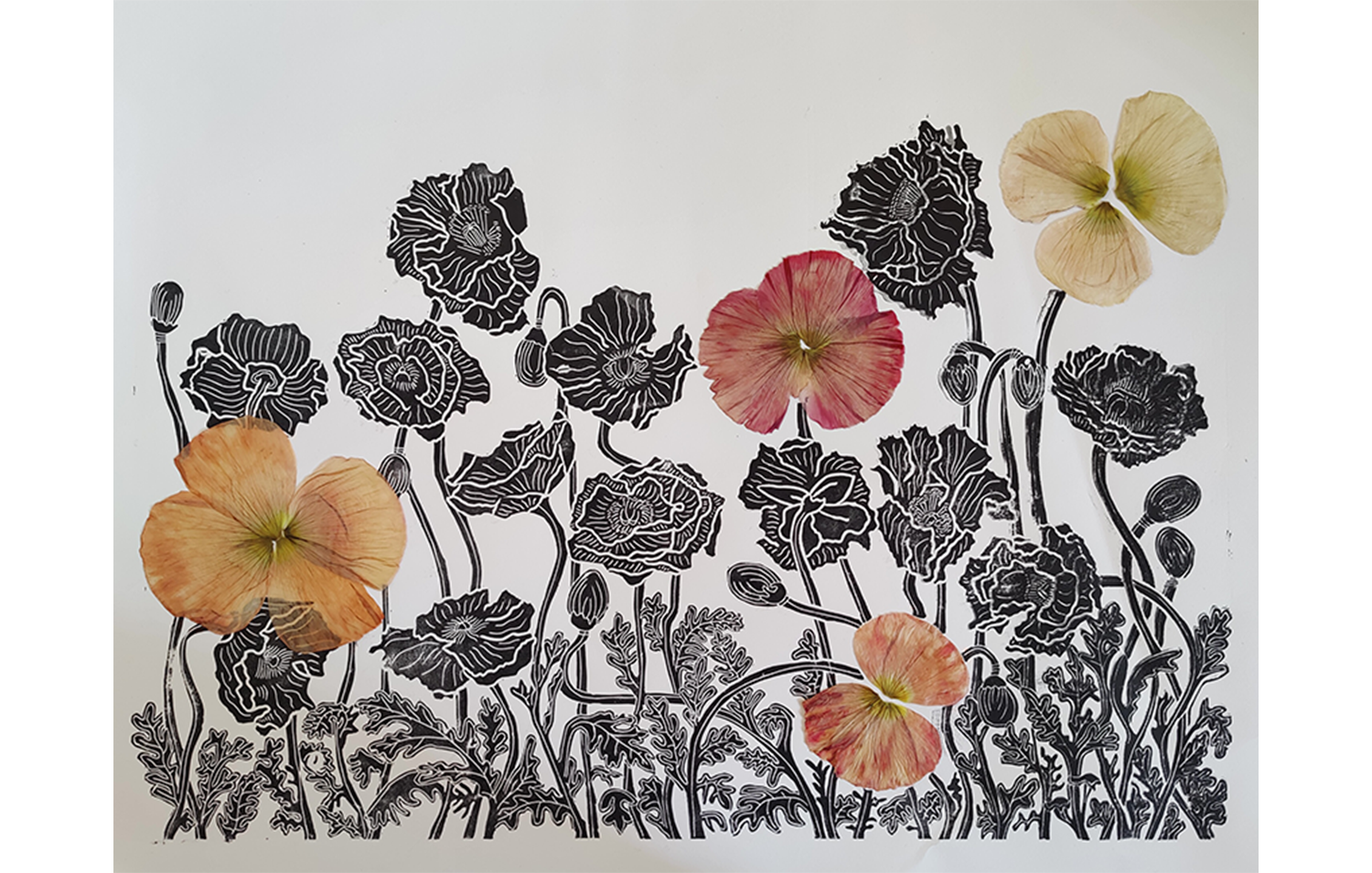 Illustration de fleurs de pavot noirs et blanches avec quelques fleurs réelles de pavot de différentes couleurs entrelacées.