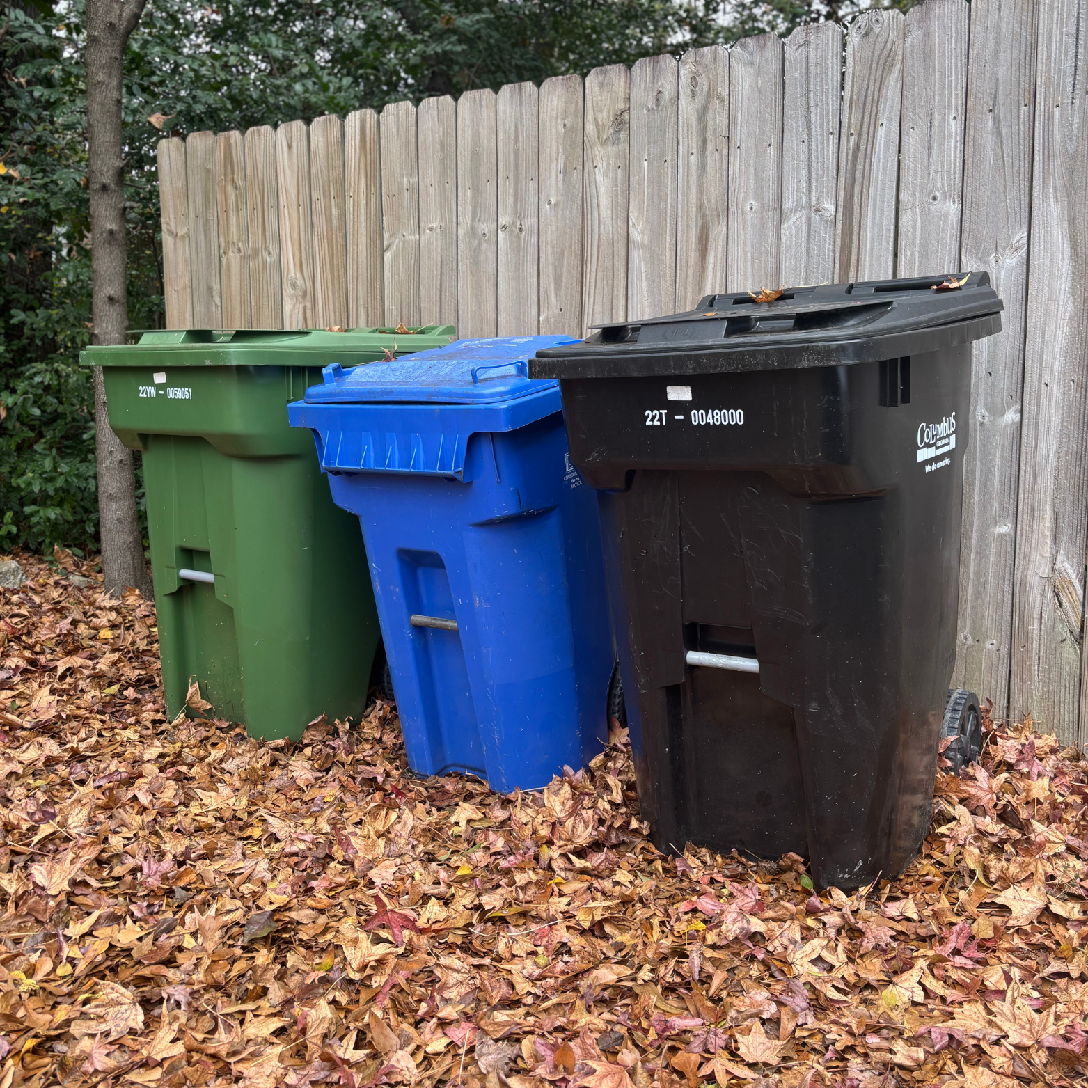 Three trash bins in green, blue, and black, lined up against a wooden fence, surrounded by fallen autumn leaves.