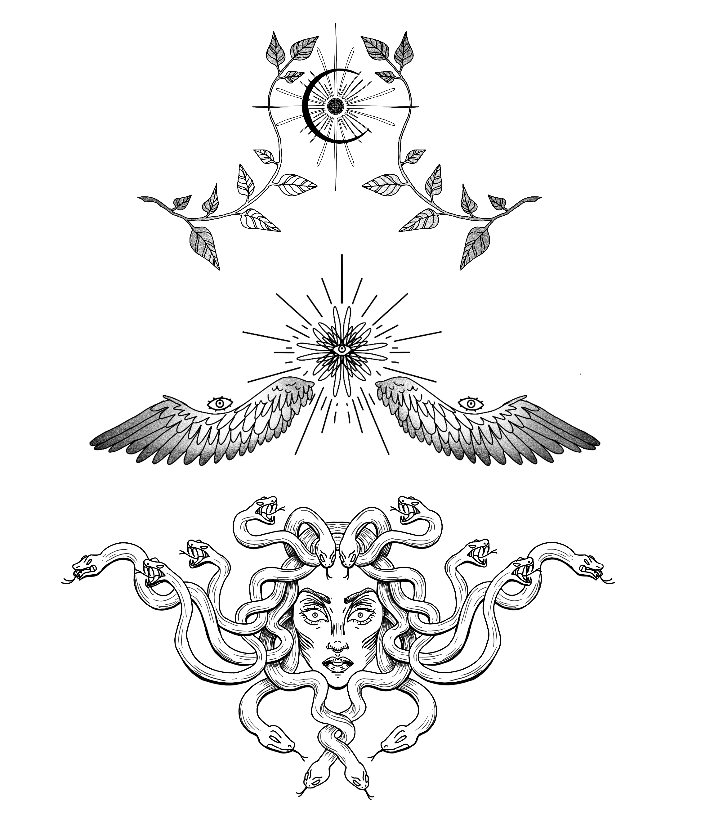 Sternum & Rib Designs.png