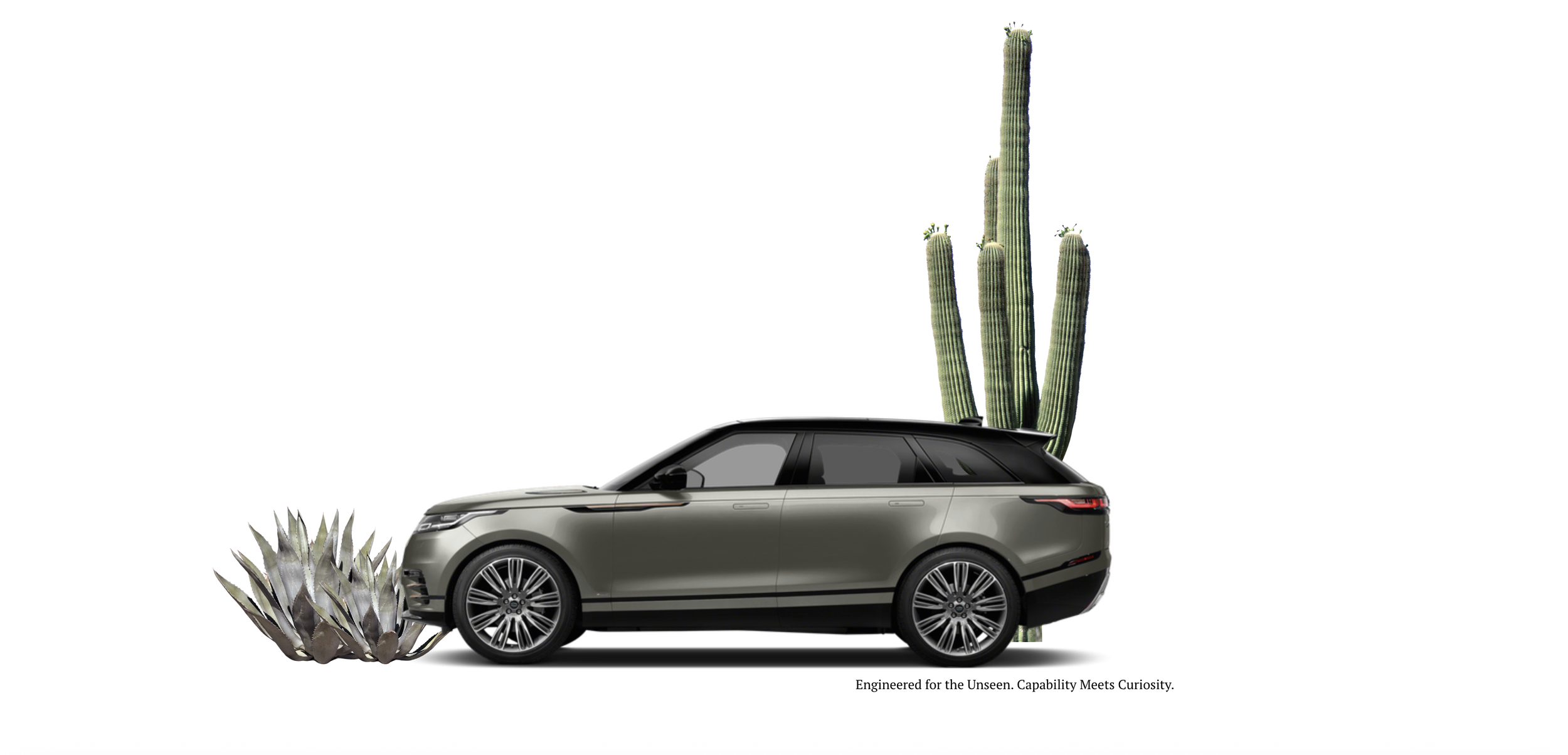 A-Brand-Extension-ANN-Worked-With-Brands-Such-As-Land-Rover-&-Jaguar-Reflecting-A-Commitment-To-High-Line-Luxury-&-Strategic-Business-Delivery