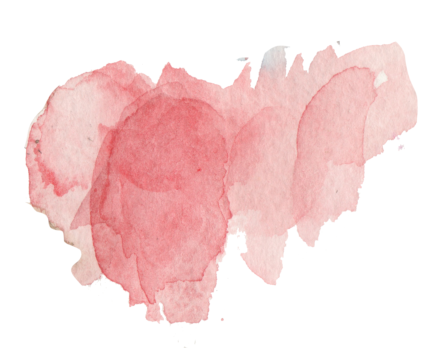 Arlington-West-is-a-series-of-projects-in-coastal-California-consisting-of-symbolic-grave-markers-established-at-beaches-have-been-implemented-at-beaches-in-Santa-Barbara-Santa-Monica-San-Diego.