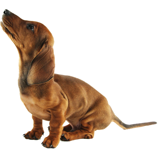 sweetworxx-digital-auto-repair-app-focused-on-data-driven-mobility-platform-geo-fencing-logistics-and-supply-chain.