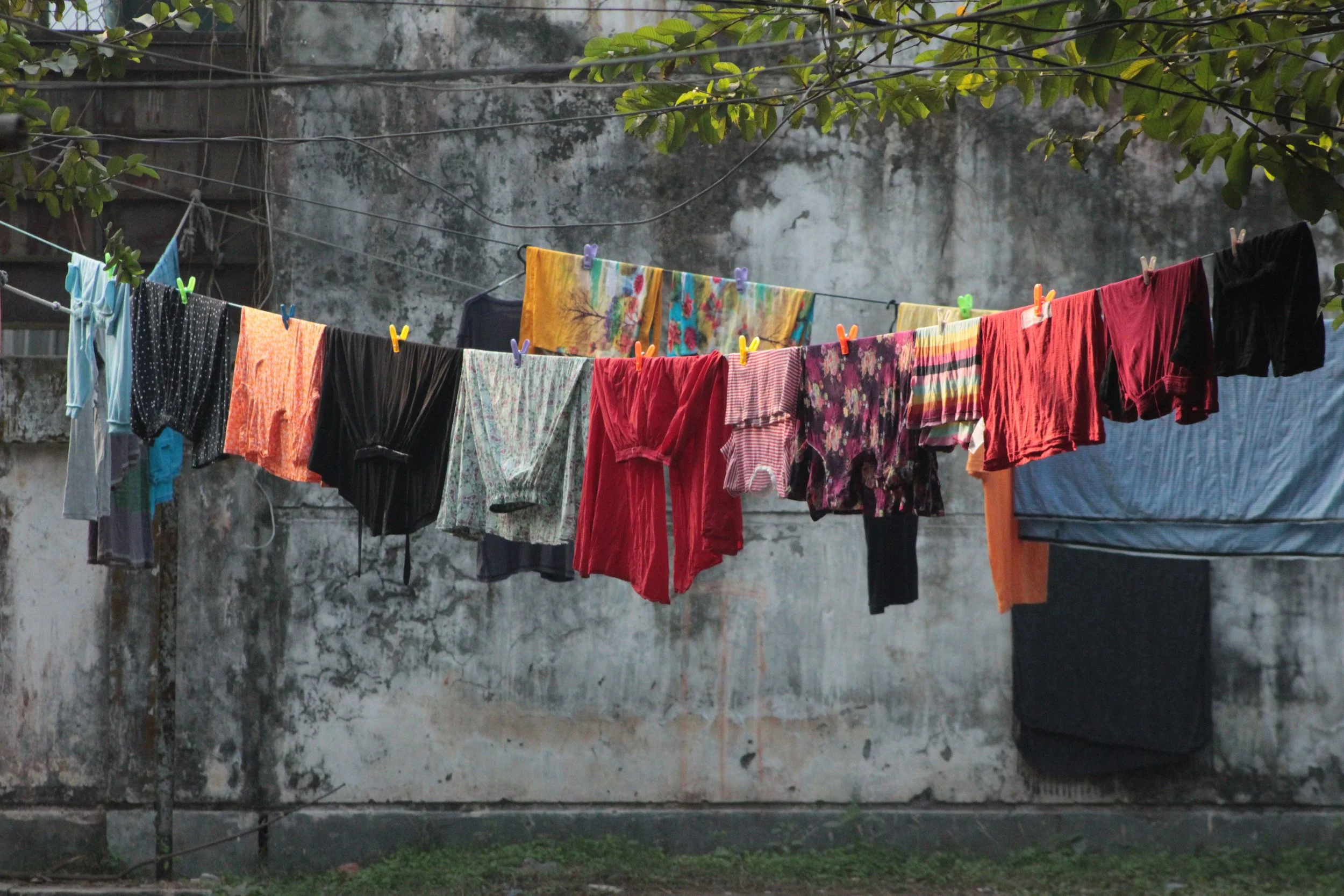 Even the Clothesline Got Whitewashed