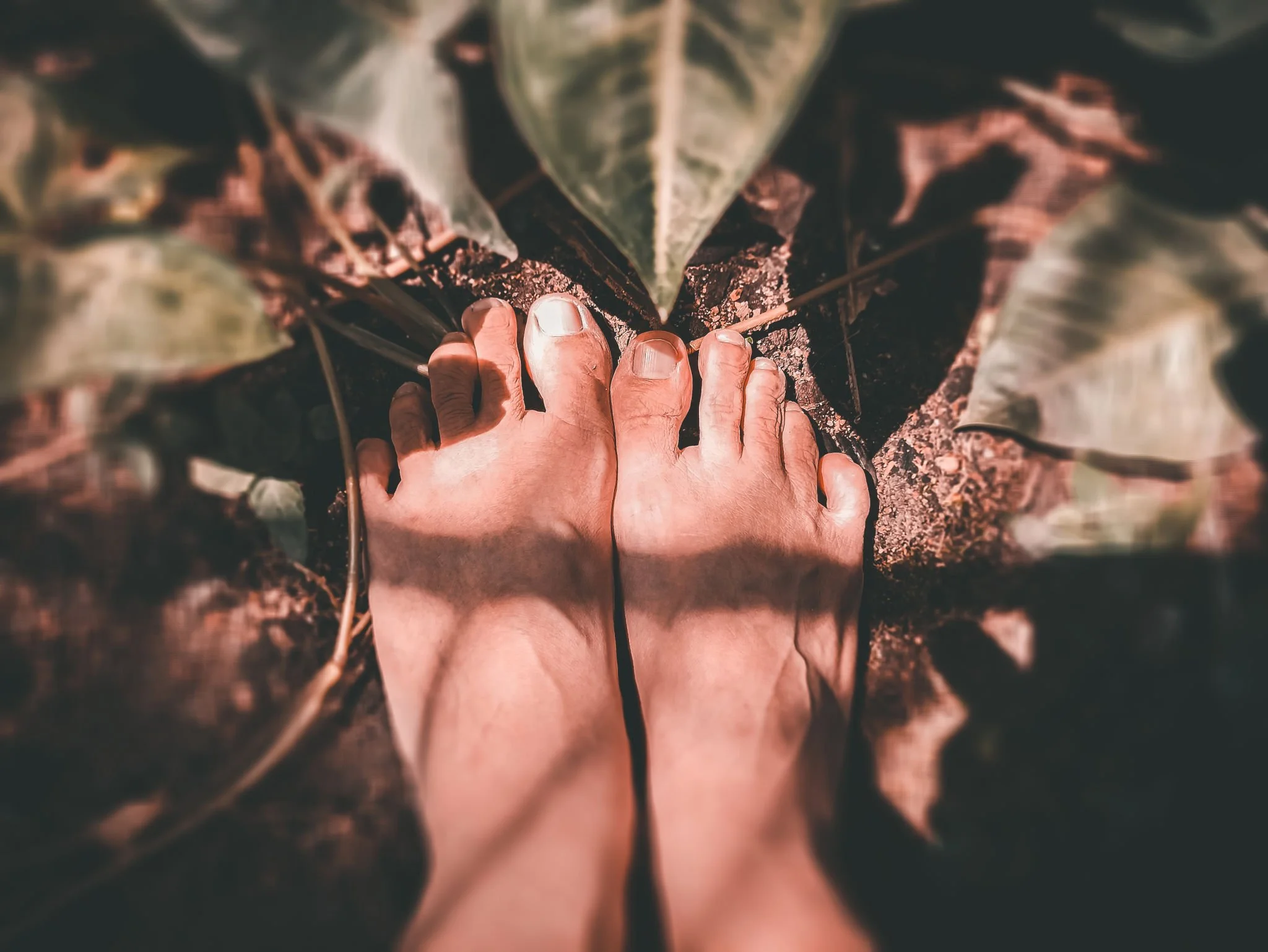 Two feet with toes touching in soil among large green and brown leaves.