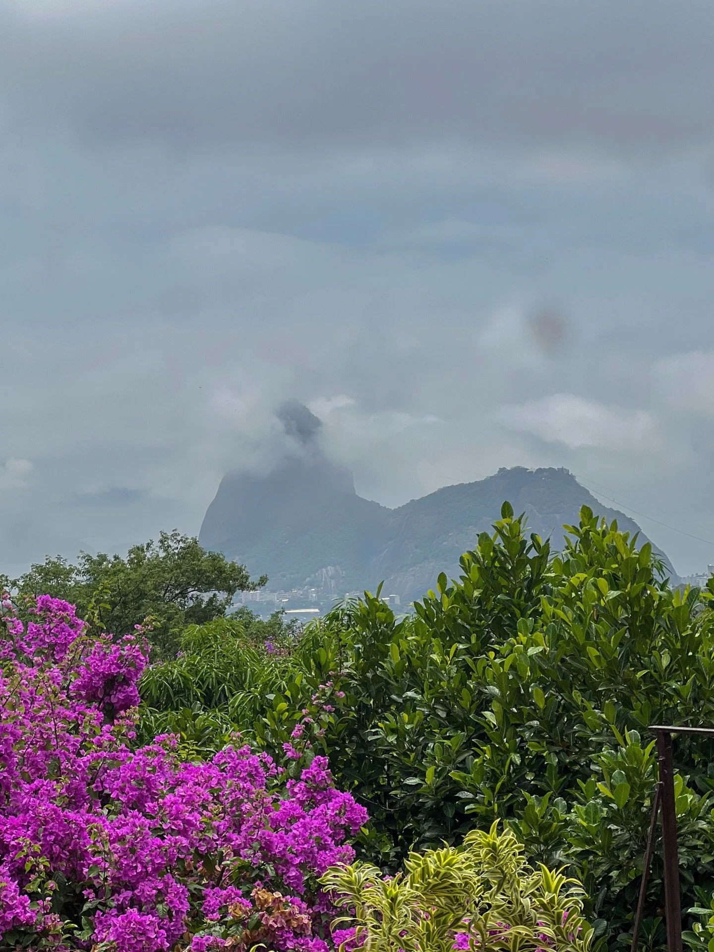 Pra deixar registrada a semana felizzz com retorno ao consult&oacute;rio, qualifica&ccedil;&atilde;o no mestrado e Rio de Janeiro! 📚👩🏻&zwj;⚕️🤓🏝️⛱️