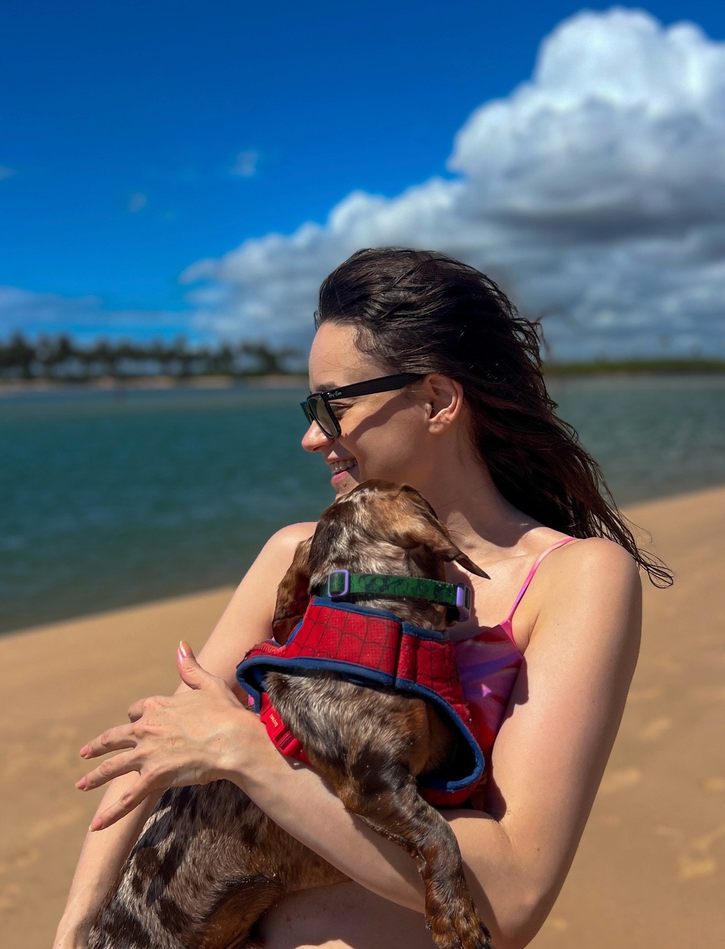 Sequ&ecirc;ncia de Chico na praia vivendo sua melhor vida kkk🏝️⛱️🐶
