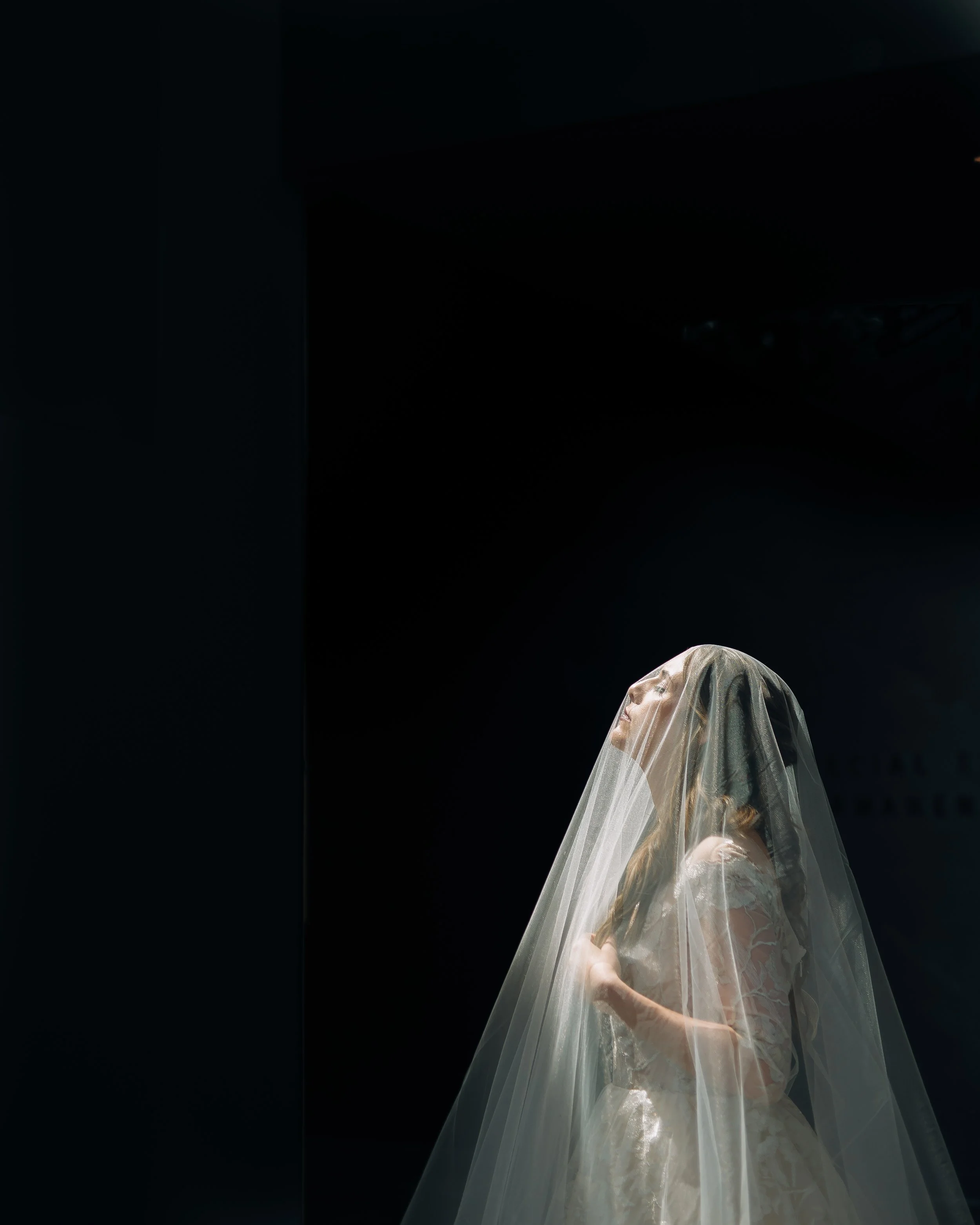A bride in a wedding dress and veil stands with eyes closed and head tilted back against a dark background at the Hunter Museum of American Art. Wedding Photography by Sowing Clover Photography.