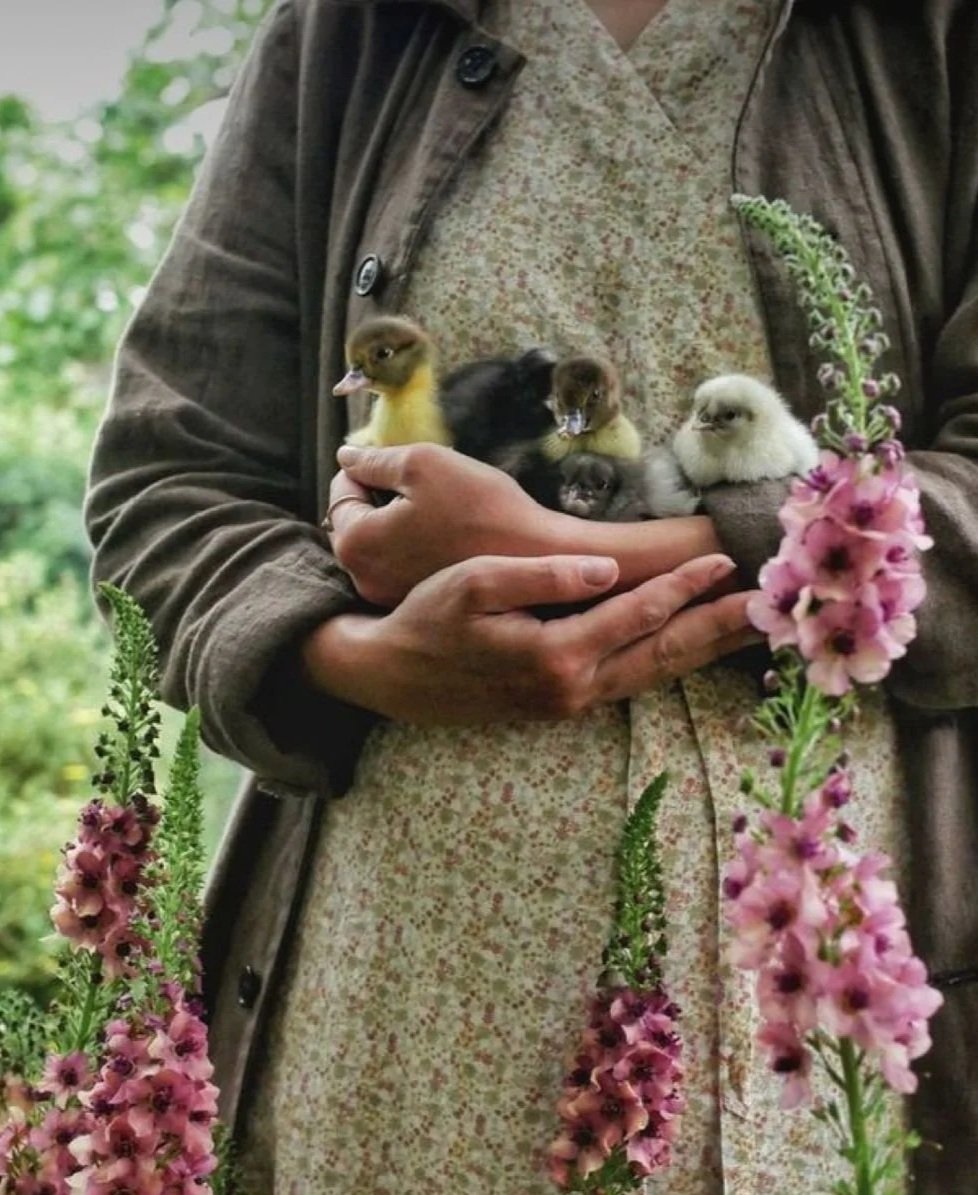 Woman gently holding baby chicks in her hands, symbolizing Ginkgo Village’s community spirit, care, belonging, and conscious connection.