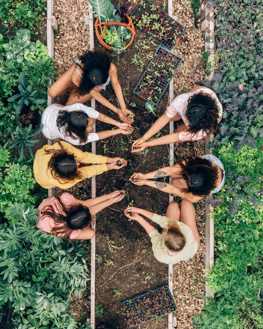 Group of people tending soil together, symbolizing community gatherings, mindful connection, grounding practices, and collective wellbeing.
