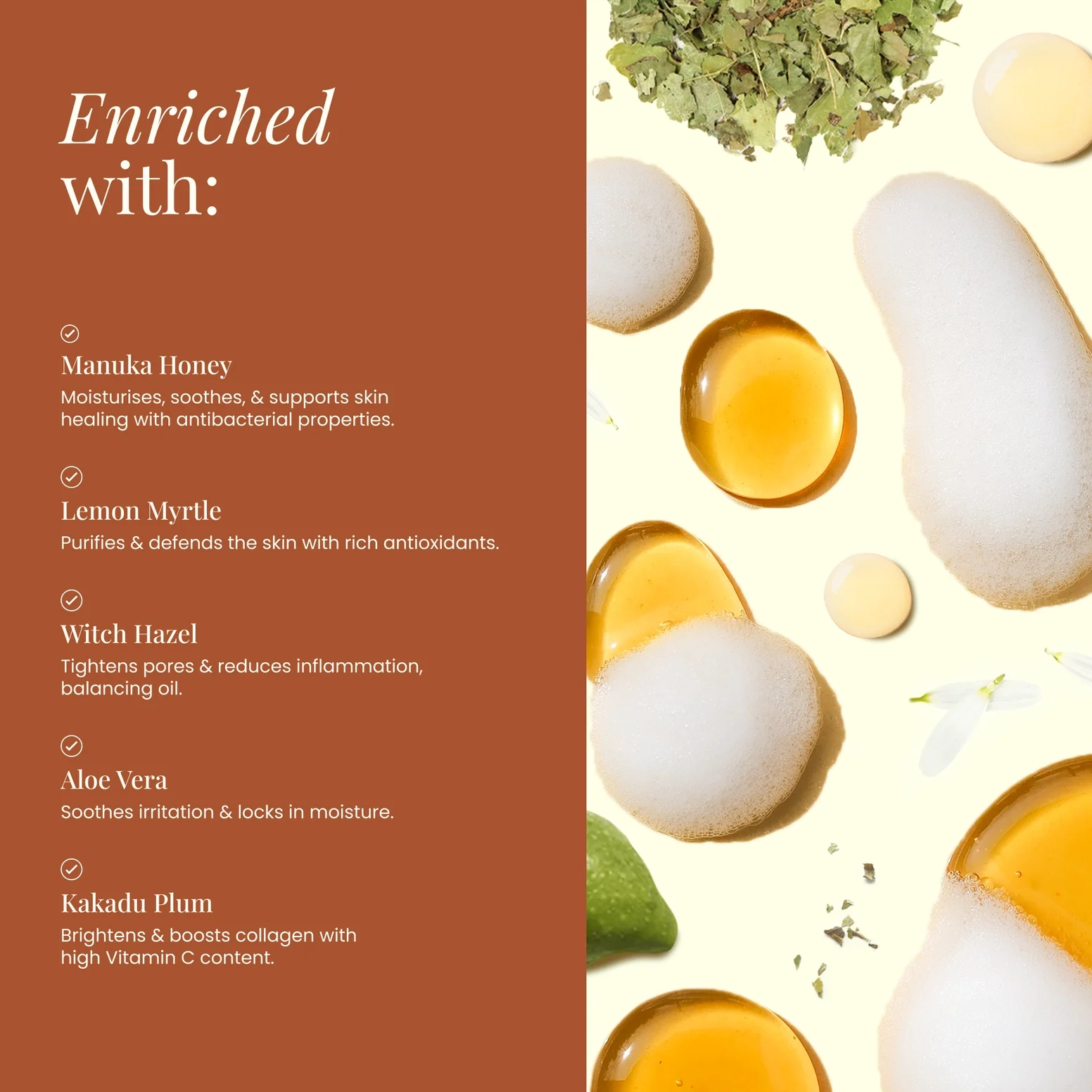 Foaming Facial Cleanser with Manuka Honey, Kakadu Plum, Aloe 3.webp