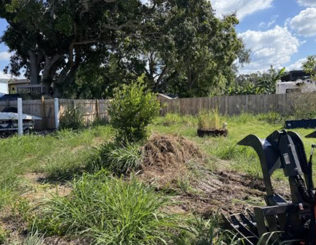 A backyard with a large tree, a wooden fence, a small bush, a grassy field with patches of dirt, and a hole where a tree was removed. There is a black gardening tool and a small dog or coyote in the grassy area. The sky is partly cloudy with blue sky
