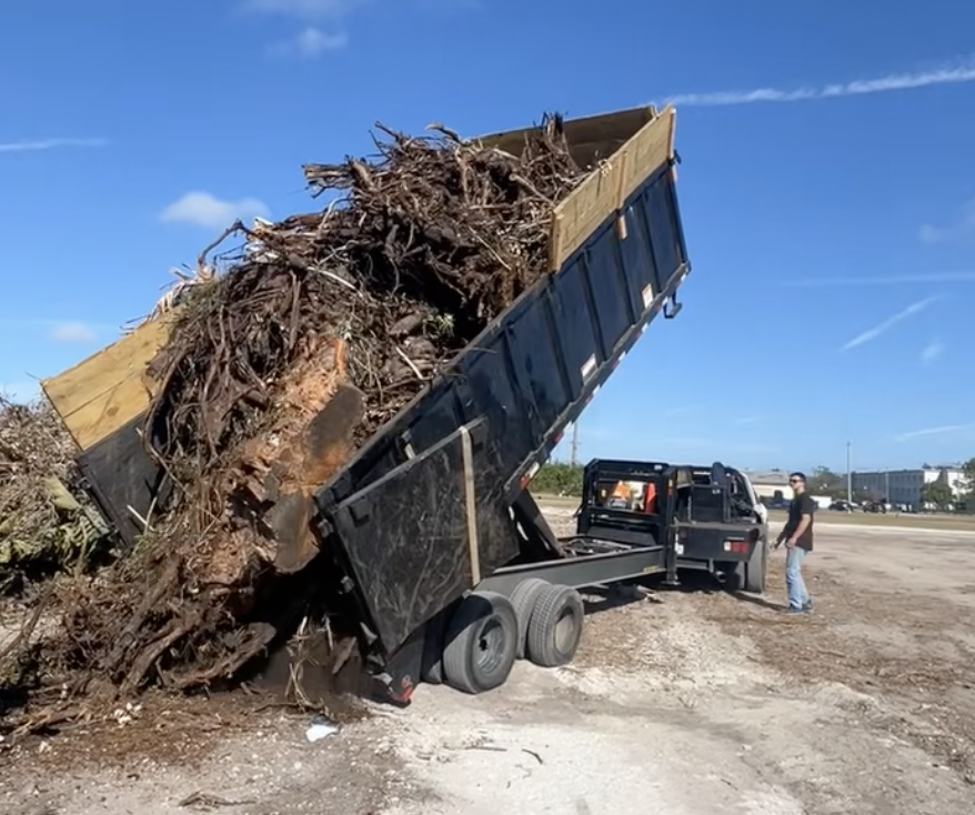 A dump truck unloading a large pile of tree branches and logs onto a dirt surface, with a man standing nearby on a clear day.