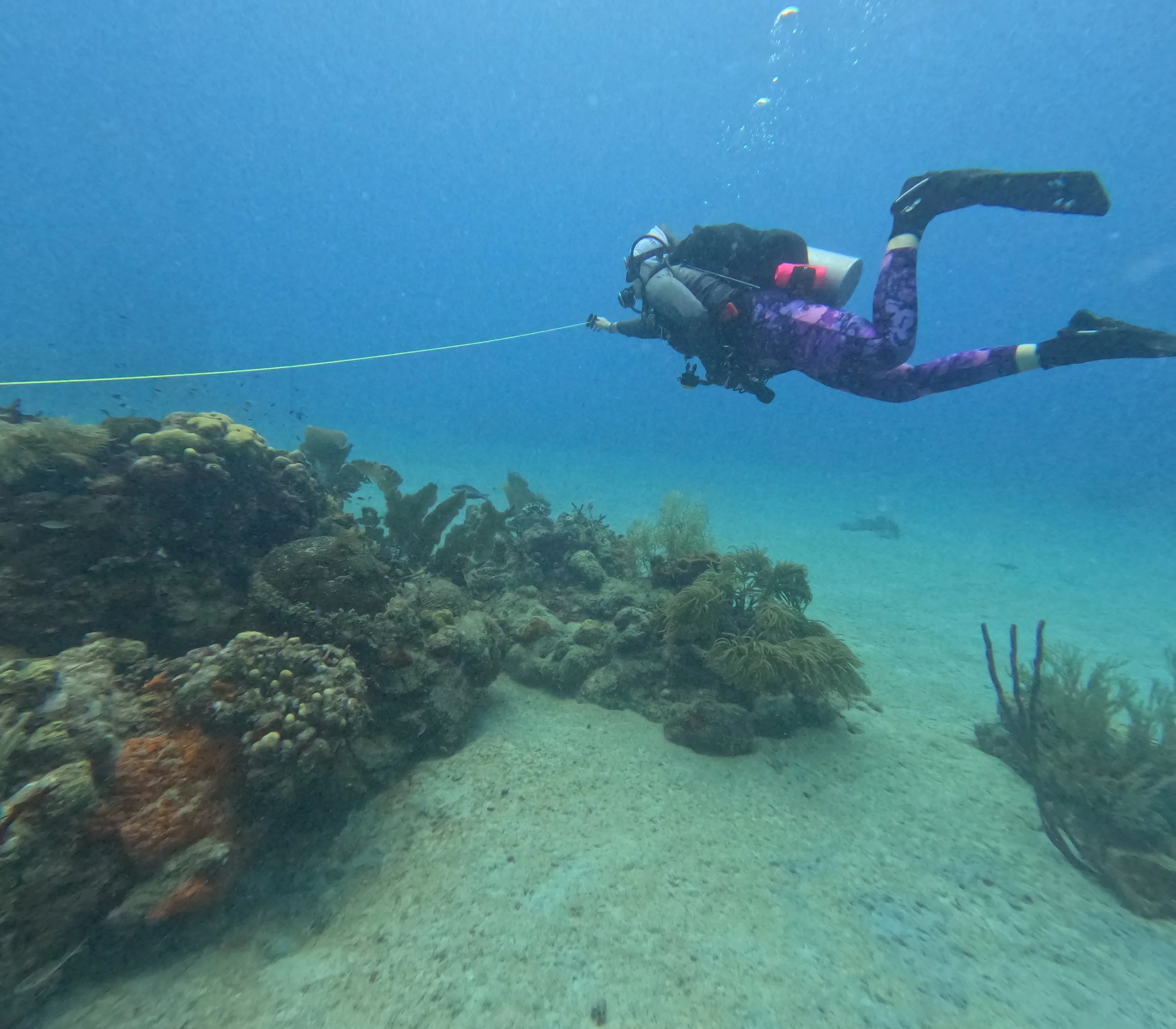 A scuba diver in purple wetsuit exploring coral reef underwater.