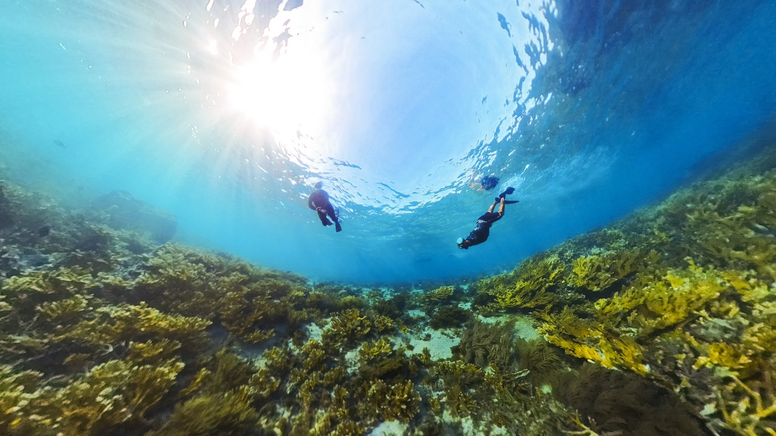 Two snorkelers swimming over a coral reef in clear blue water, with sunlight shining from above.