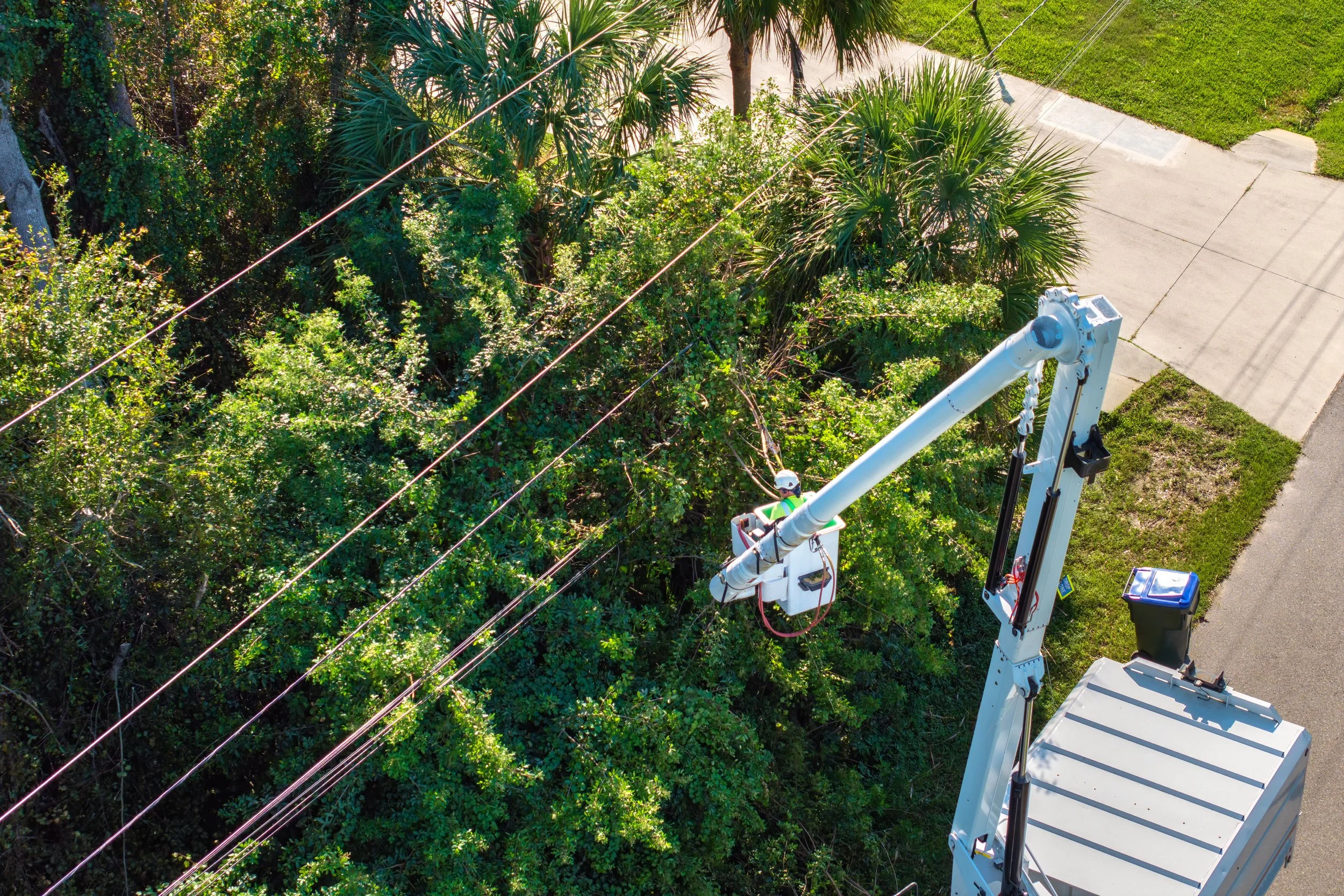 A branch resting against an aerial fiber cable, showing jacket abrasion from repeated wind movement.