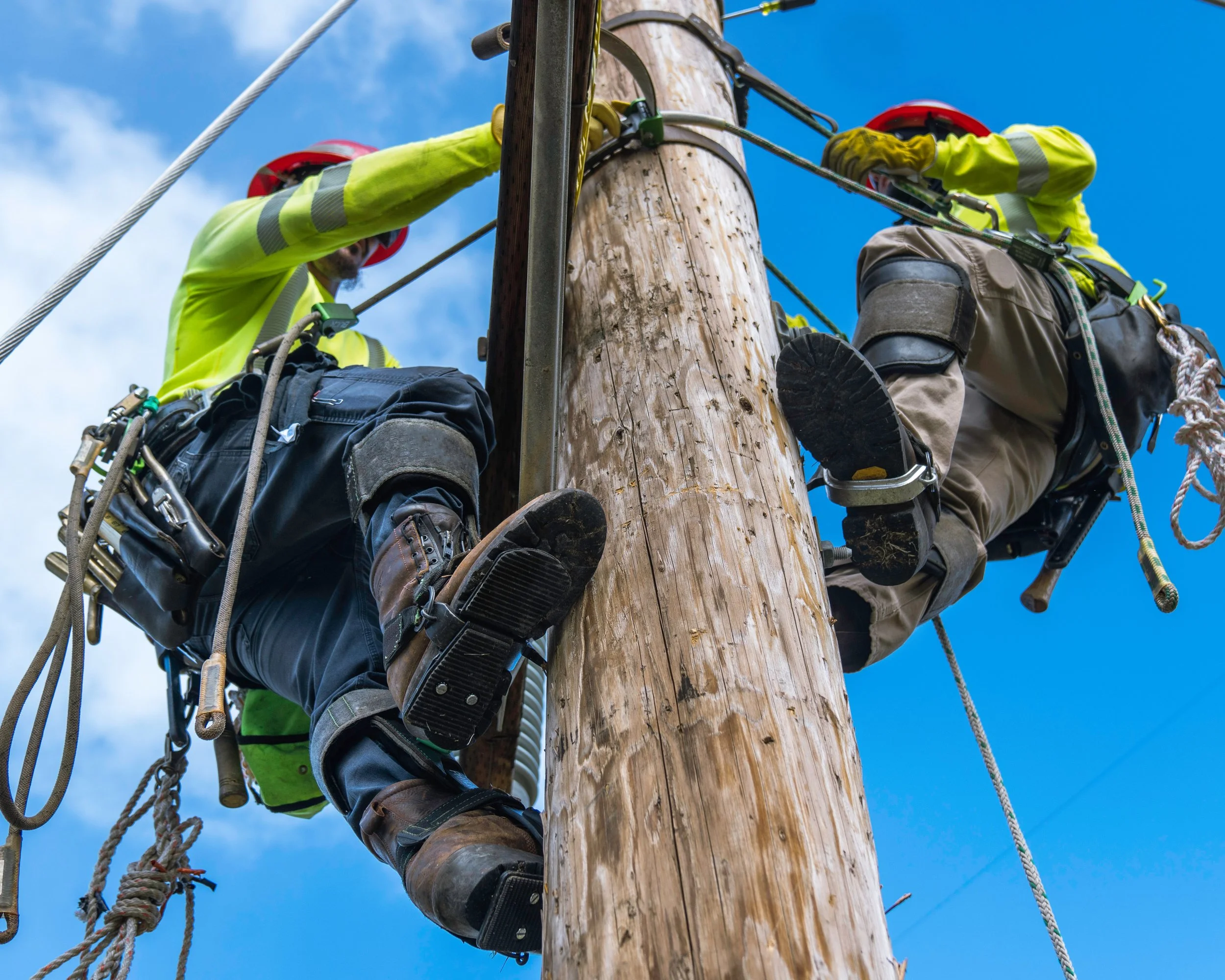 Telecom technician inspecting aerial fiber optic attachments on a utility pole during compliance and make-ready evaluation