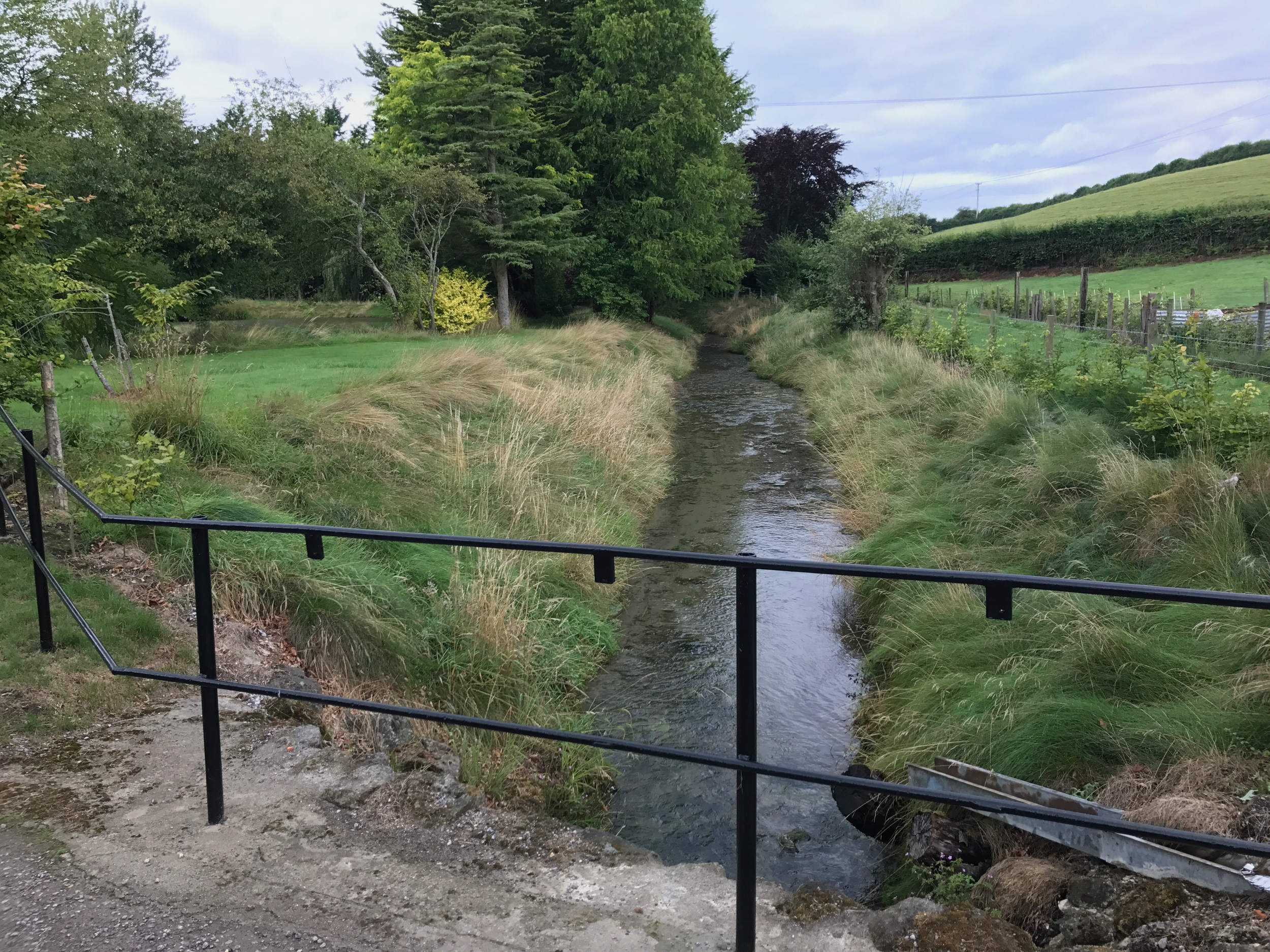 riverbank restoration.png