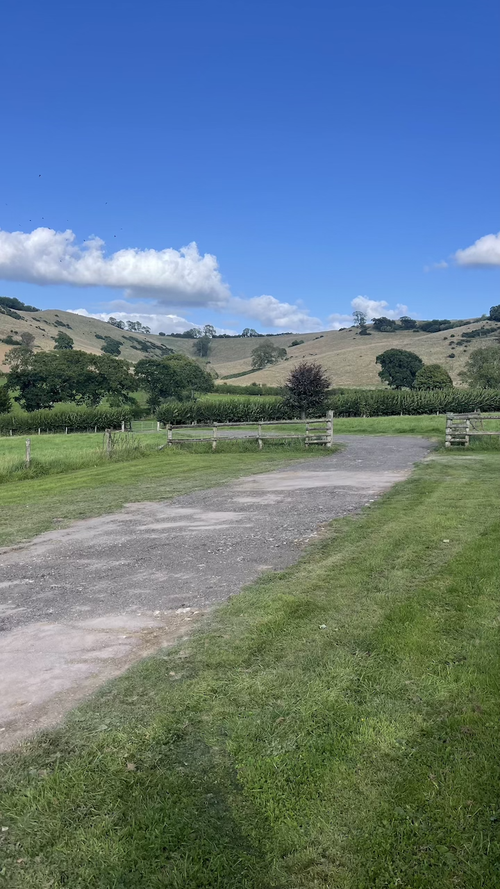 stones image to website.png