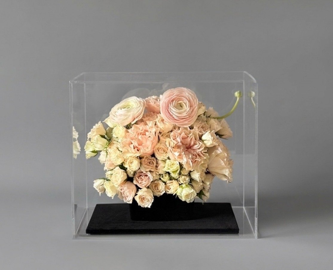 Grandino · Delicato