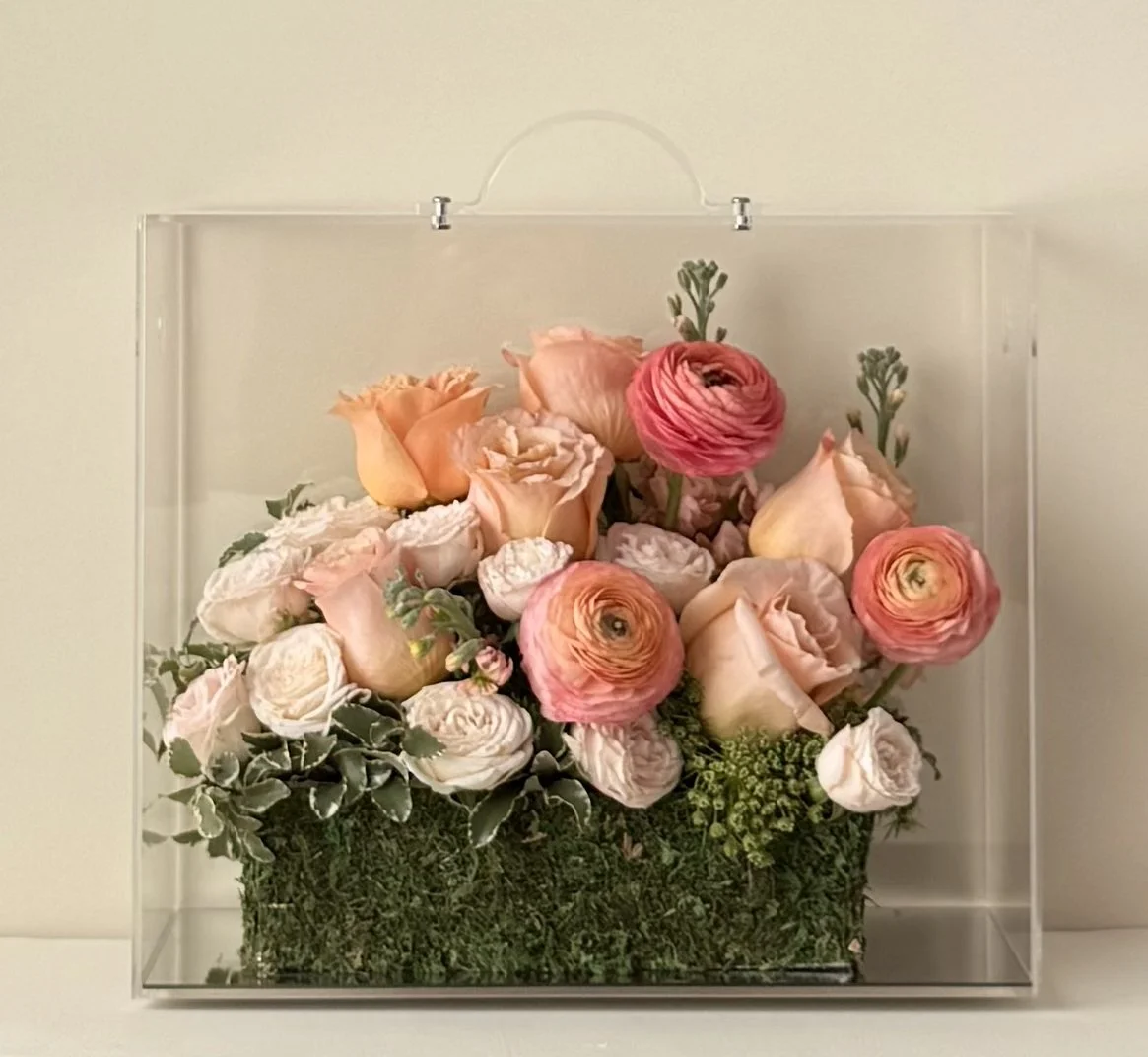 Grandino Bellissimo · Signature