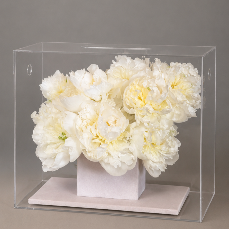 DD107809-BB10-487B-B1C7-D5F2ACBE78B7.png