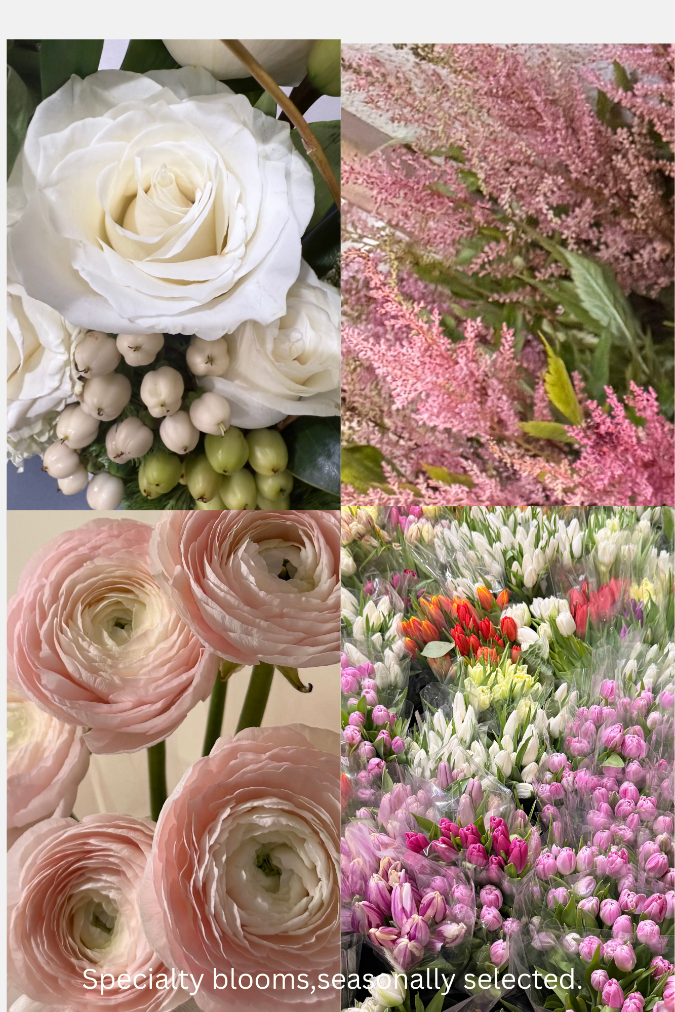 Black and White Aesthetic Simple Minimalist Fashion Photo Collage (1).png