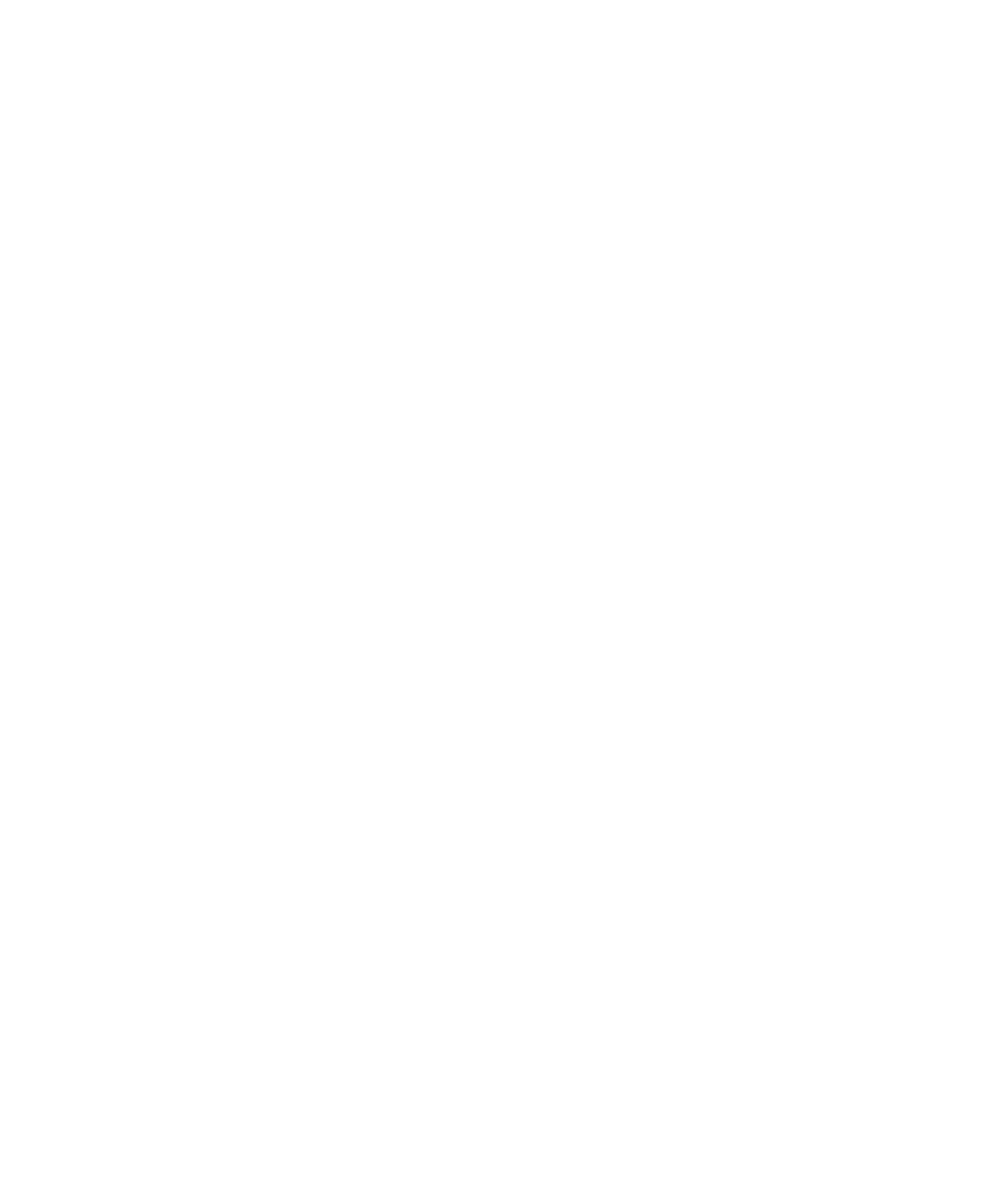 Black and white logo with an eagle with spread wings, a star above its head, and the words 'American Elevator Services' surrounding it.