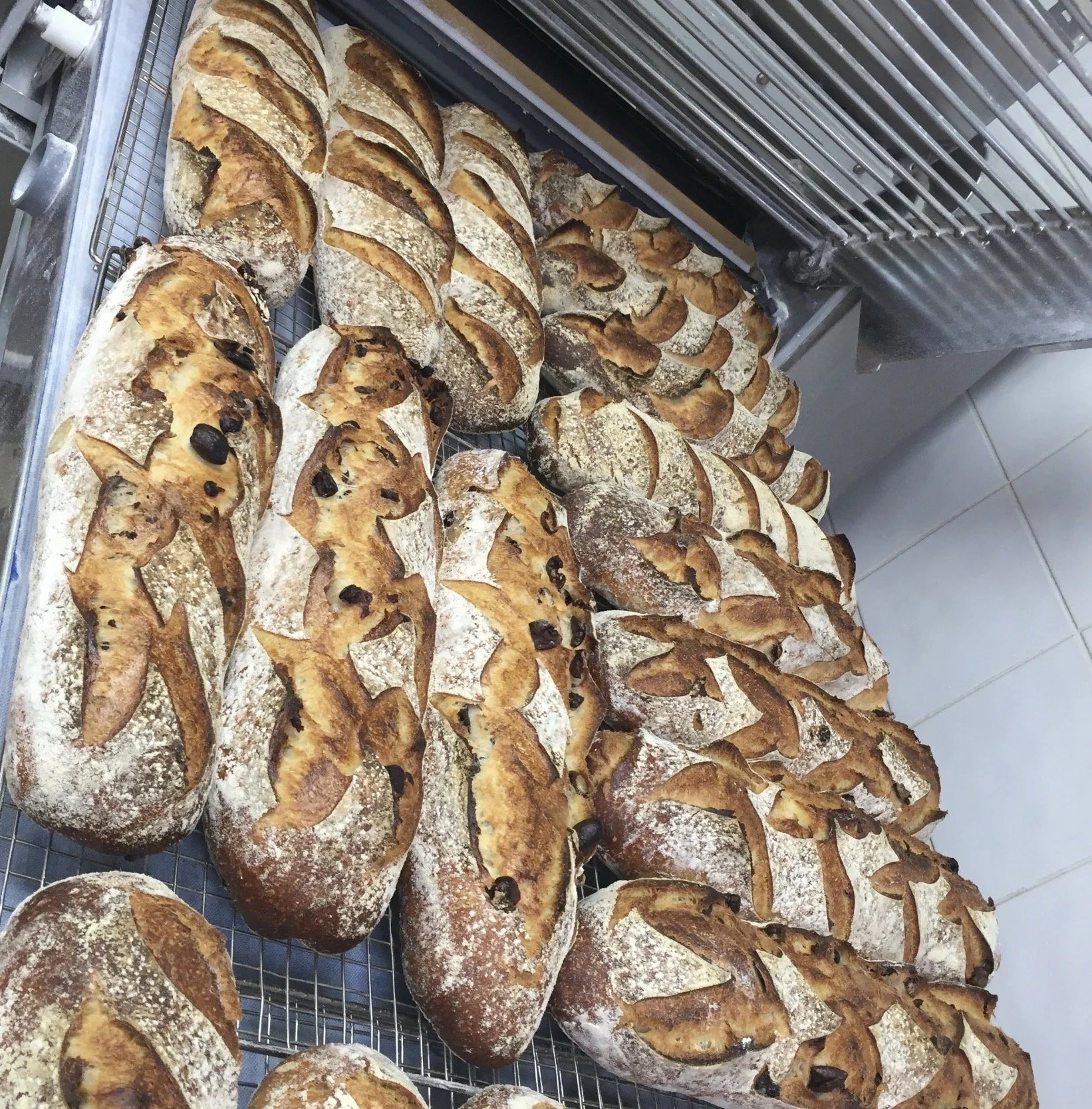 White, Olive, walnut and raisin bread