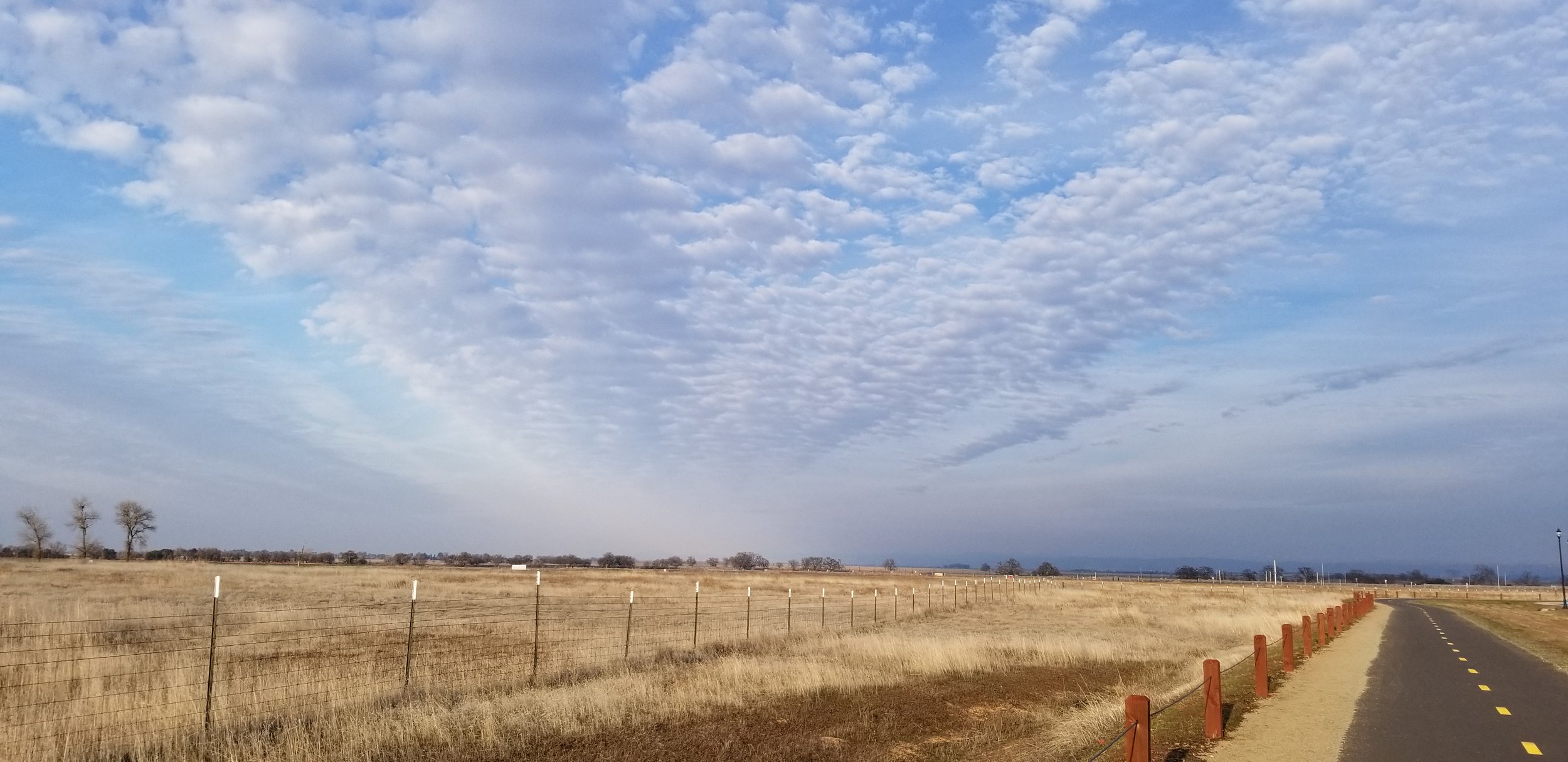 learning to be well wed 1/21/26