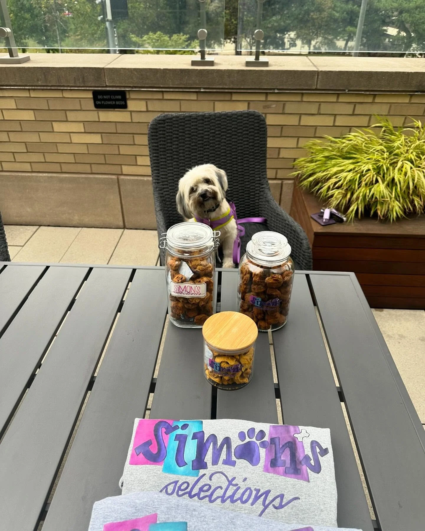 Happy October, everyone! We&rsquo;re doing a pop-up in our neighborhood. Simon and I have been working behind the scenes, and we look forward to giving you all more content this month. In the meantime, please enjoy our shenanigans, as we wait for the